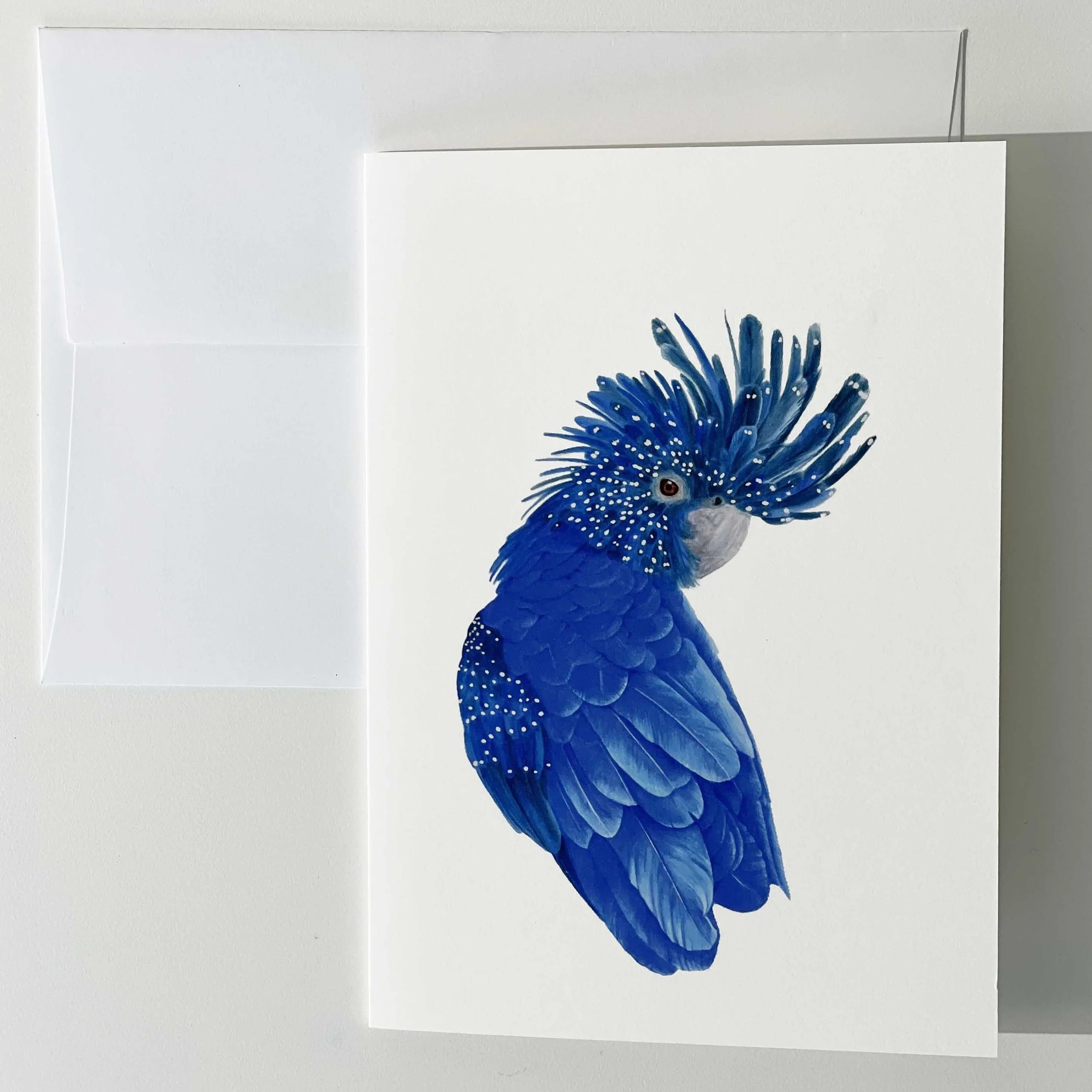 Blue Black Cockatoo C:L.jpg
