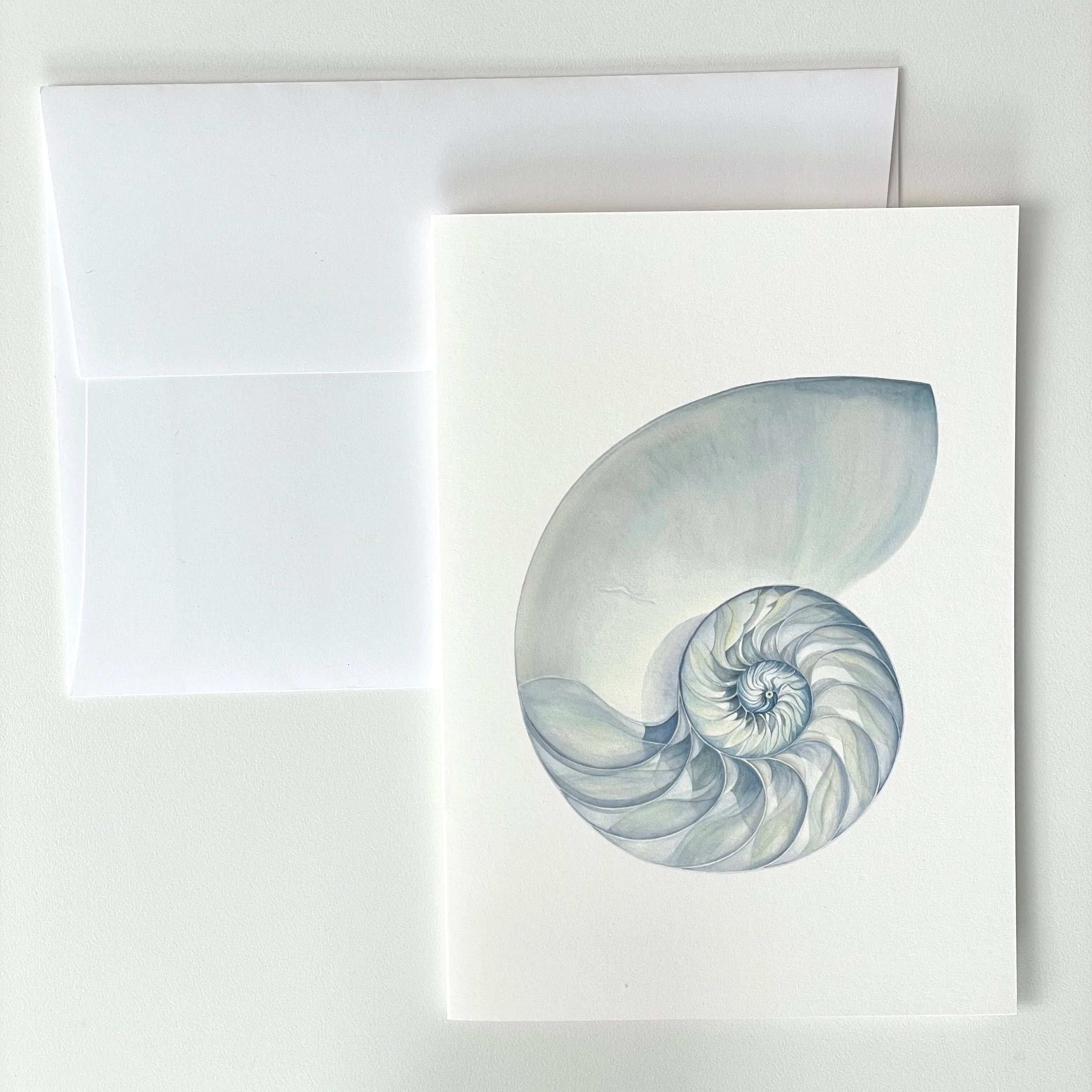 Fine Art Card - Nautilus