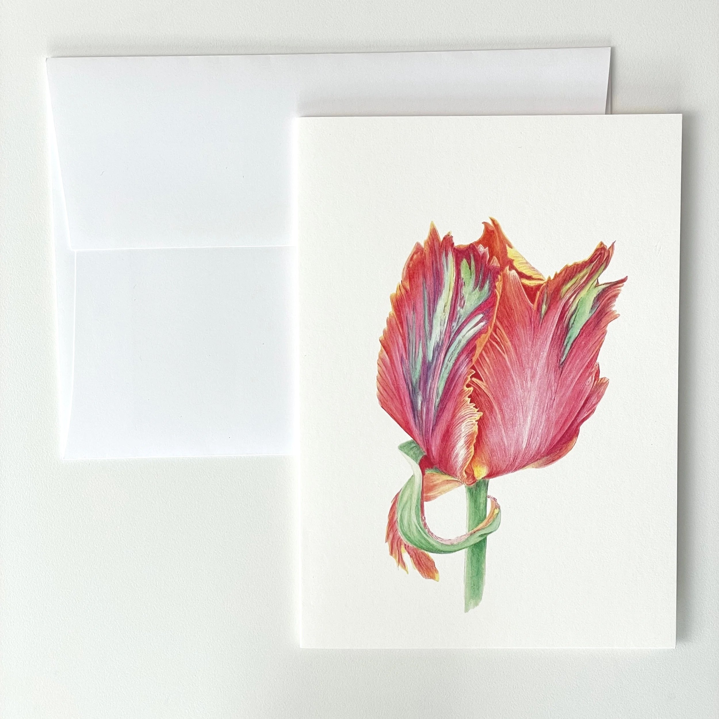 Fine Art Card - Parrot Tulip