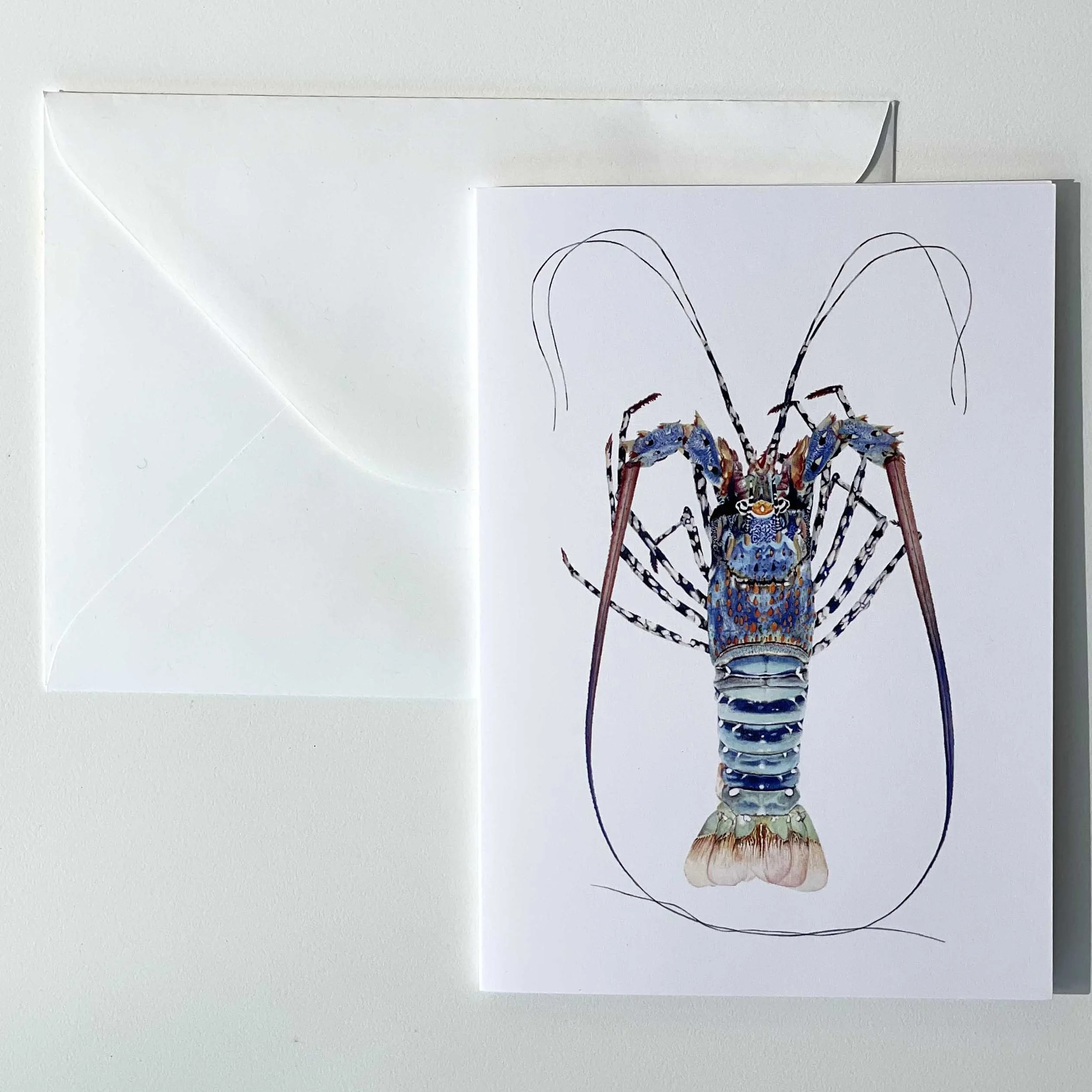 Greeting Card - Australian Ornate Lobster