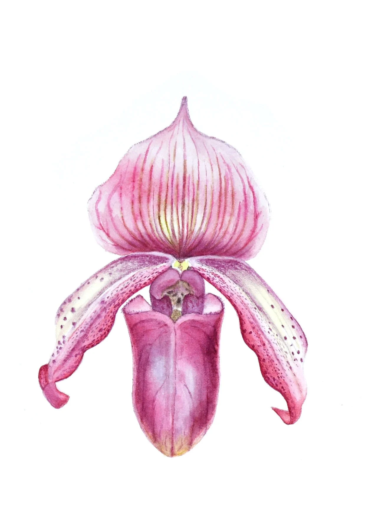 Fine Art Card - Orchid Pink
