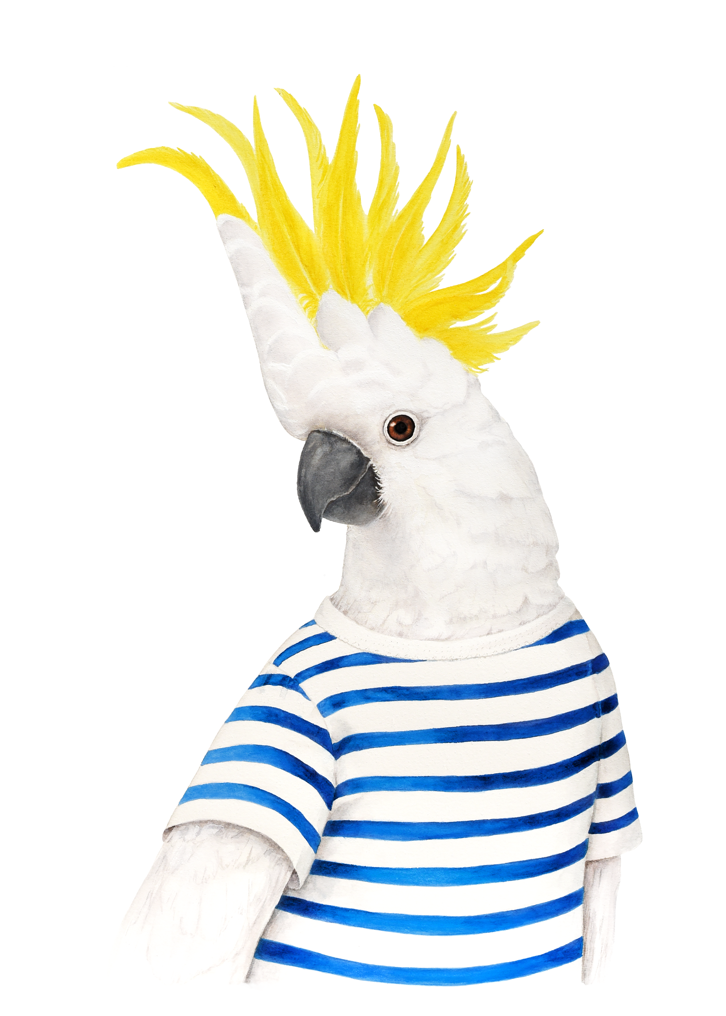 Original - Sulphur-crested Cockatoo with French Striped Shirt - On commission
