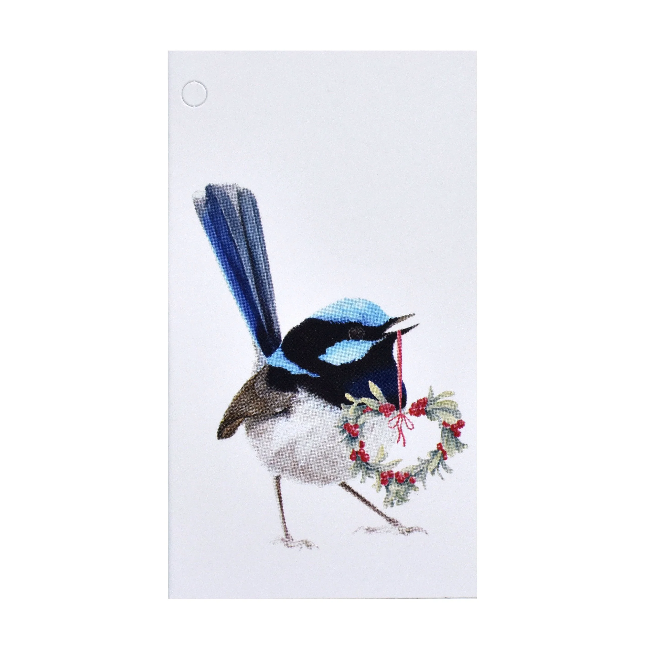 Folded Gift Tag - Christmas - Superb Fairy-wren