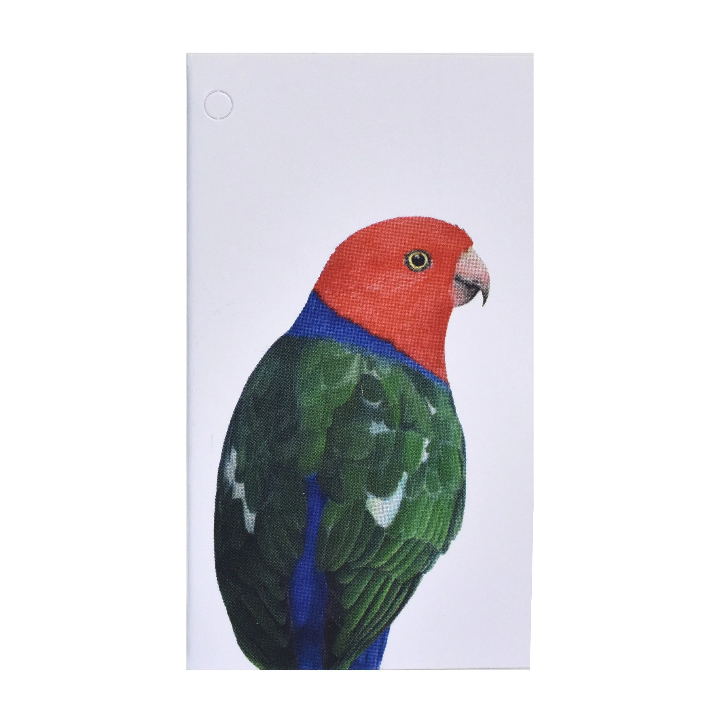 Folded Gift Tag - King Parrot