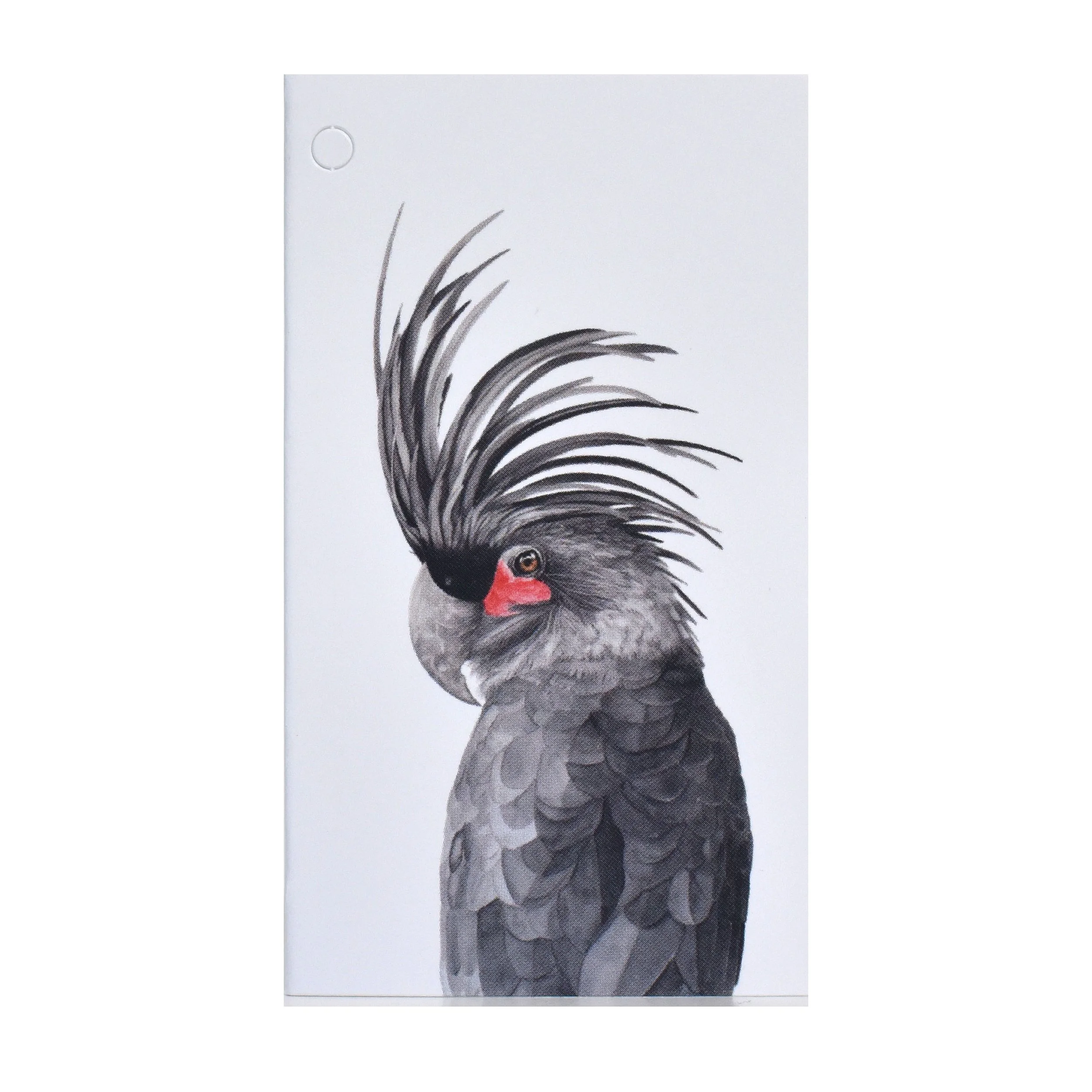 Folded Gift Tag - Palm Cockatoo