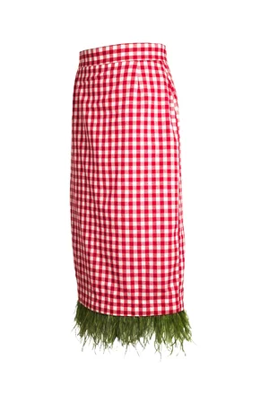 Skirt Italian Table served with Basilico