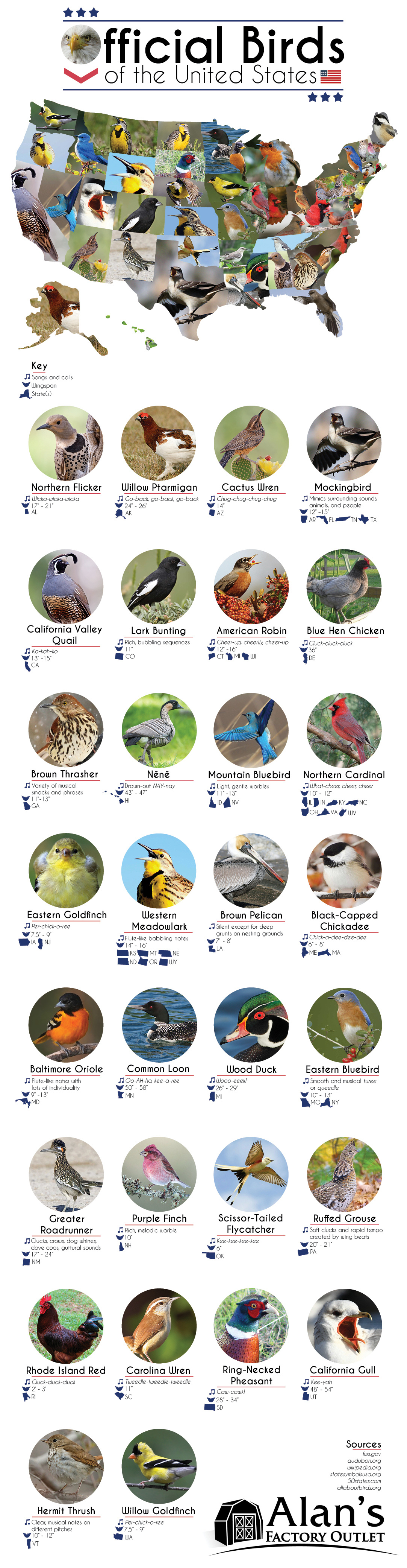 birds.png