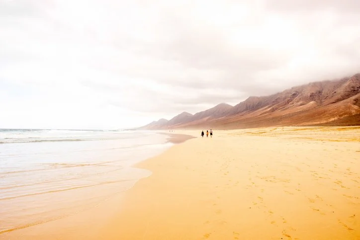 iStock-517077600.jpg