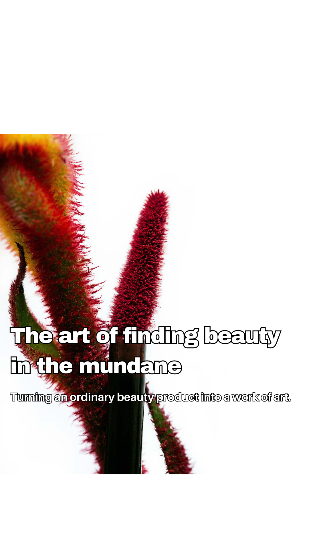 The Art of Finding Beauty in the Mundane