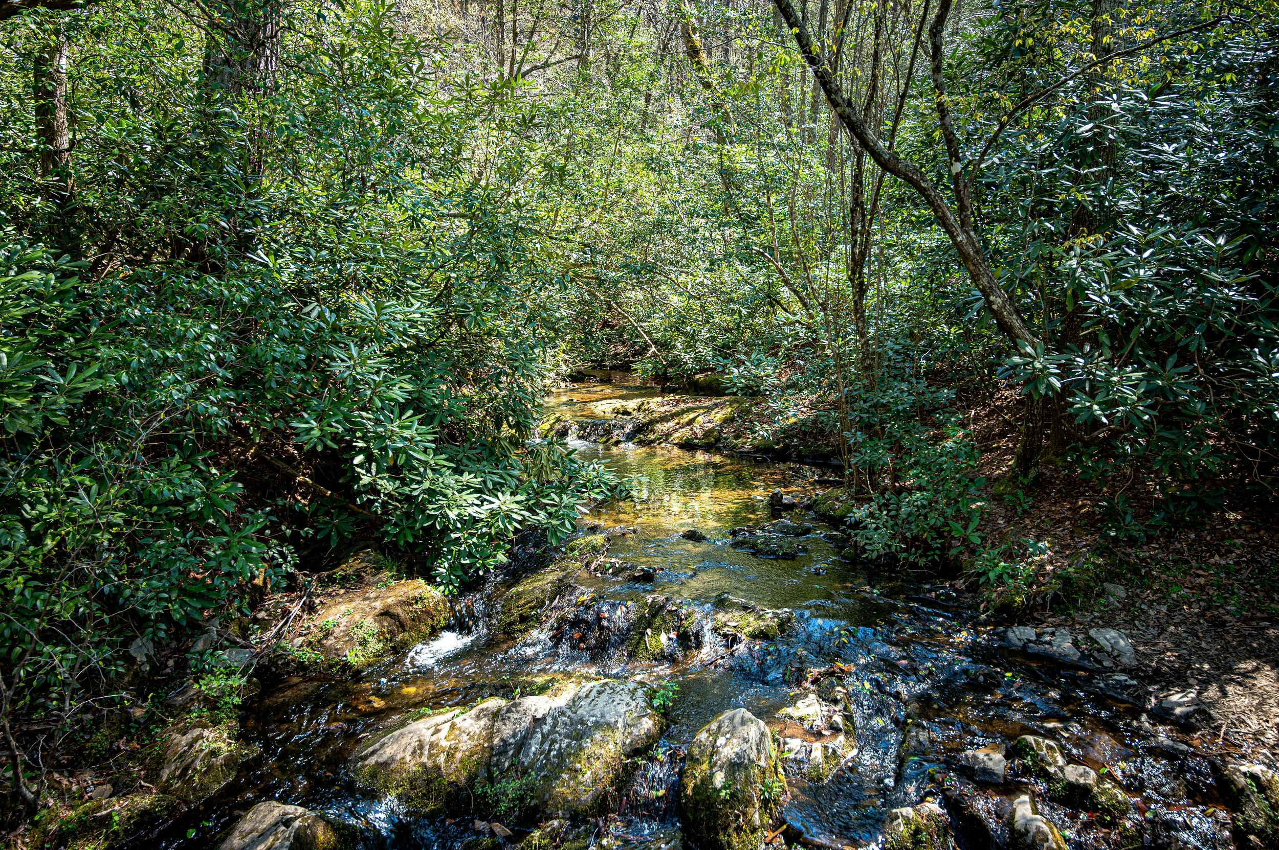 DSC_6713.jpg
