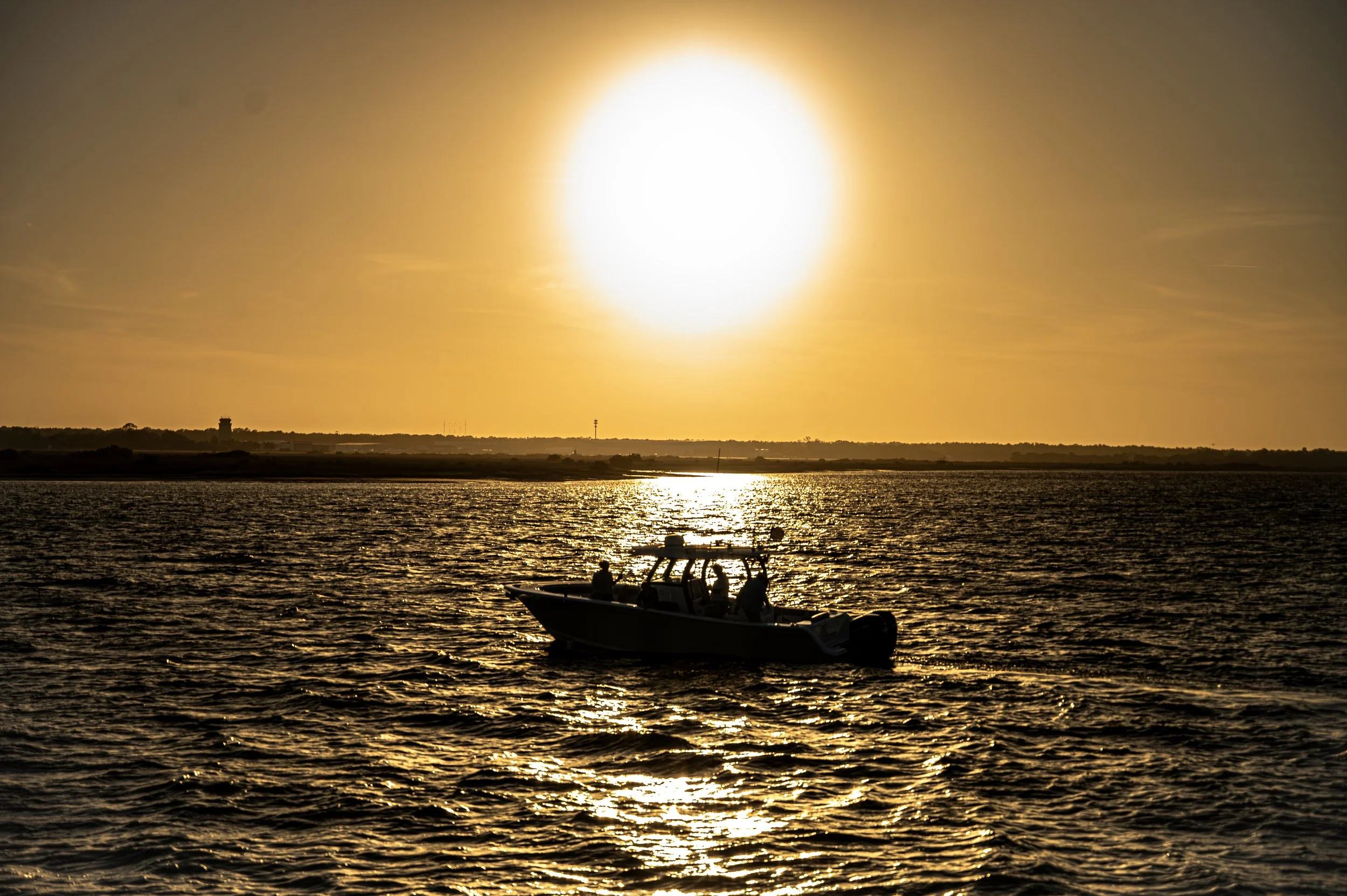 DSC_5951-Enhanced-NR copy.jpg