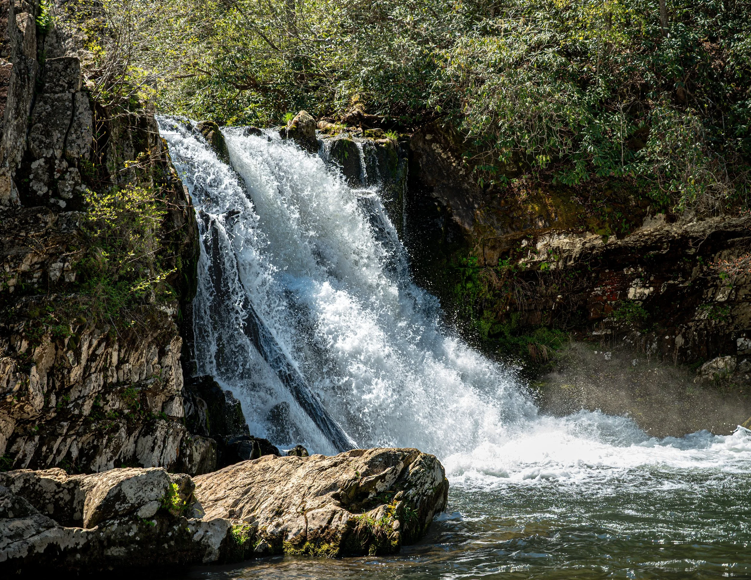 DSC_6728.jpg