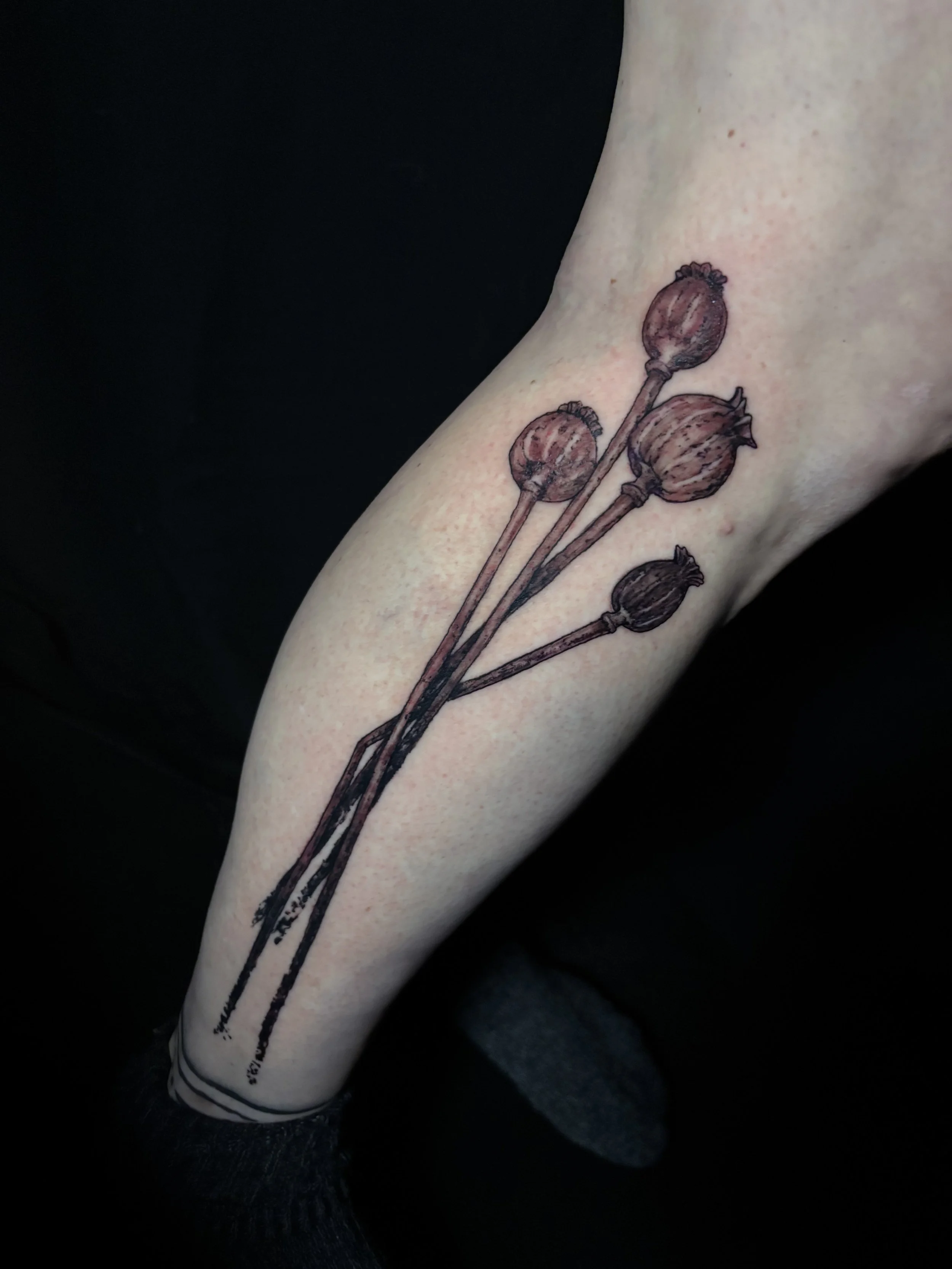 poppy buds tattoo poppies blackwork black and grey leg tattoo