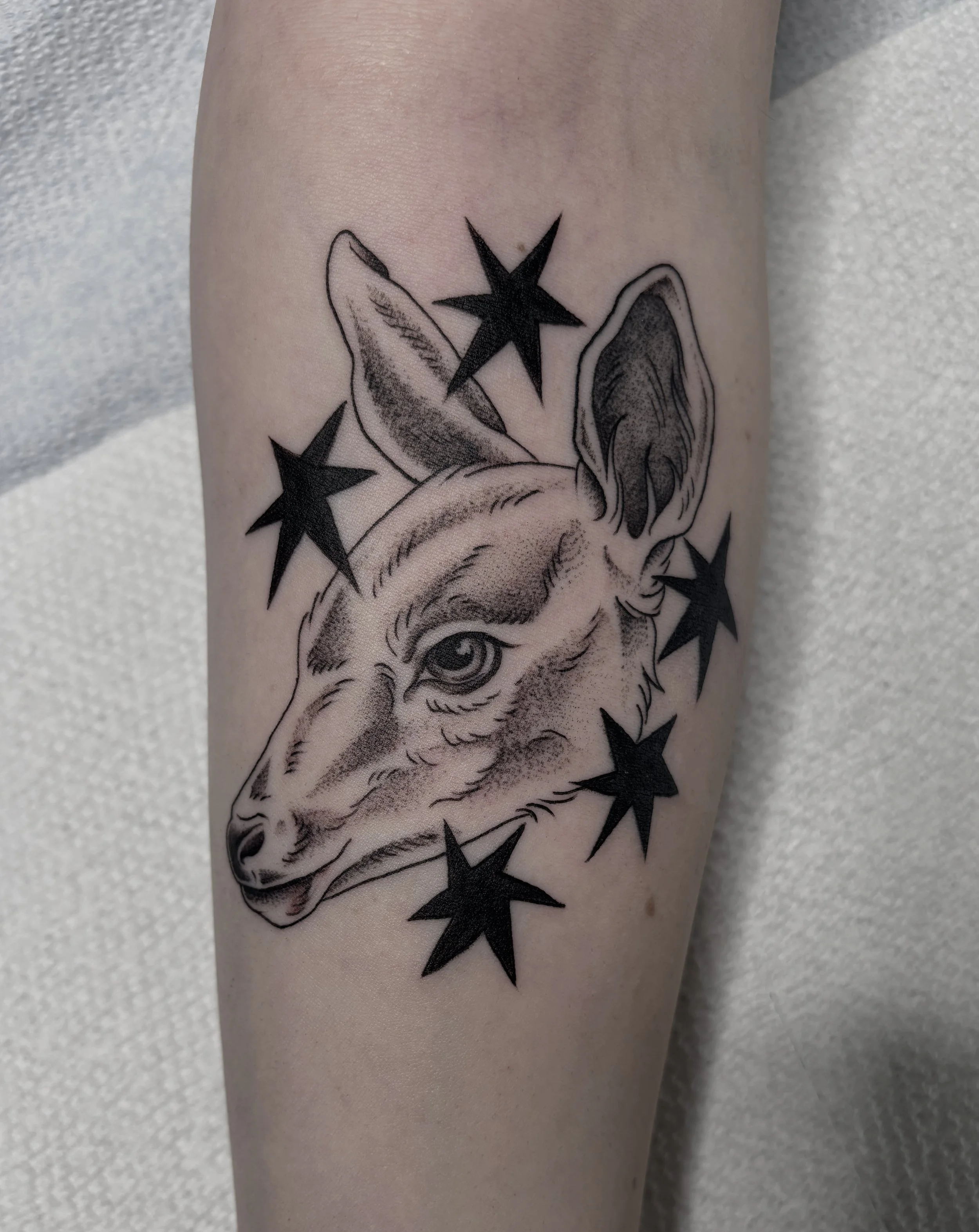 Katie Parry thursdaybluez seattle tattoo artist black and gray fine line deer and stars