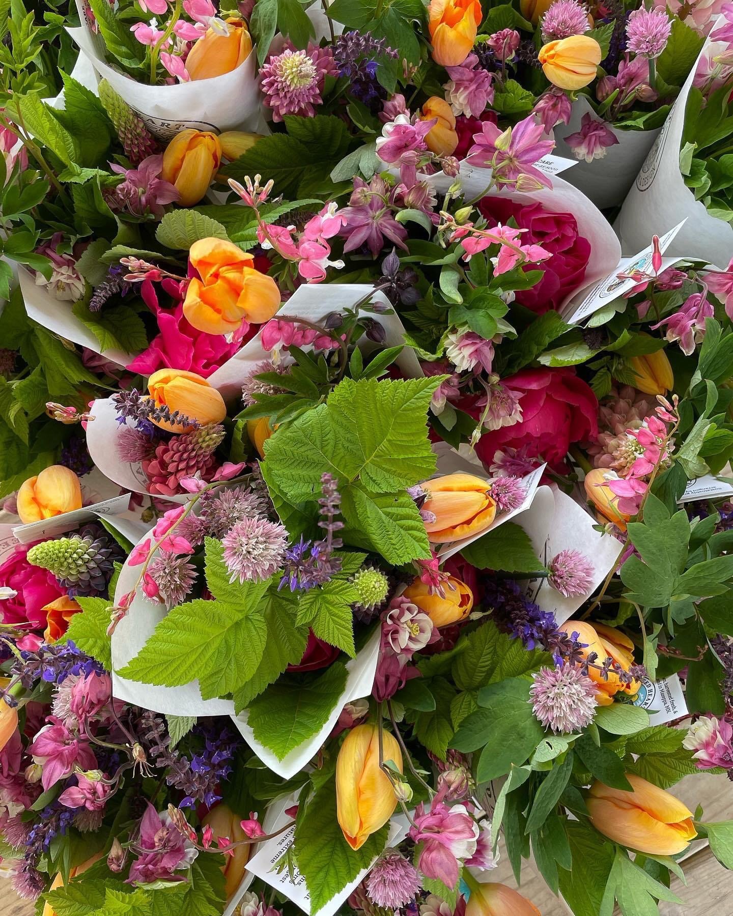 BleedHeartFloral_MN_flower_farm-51.jpg