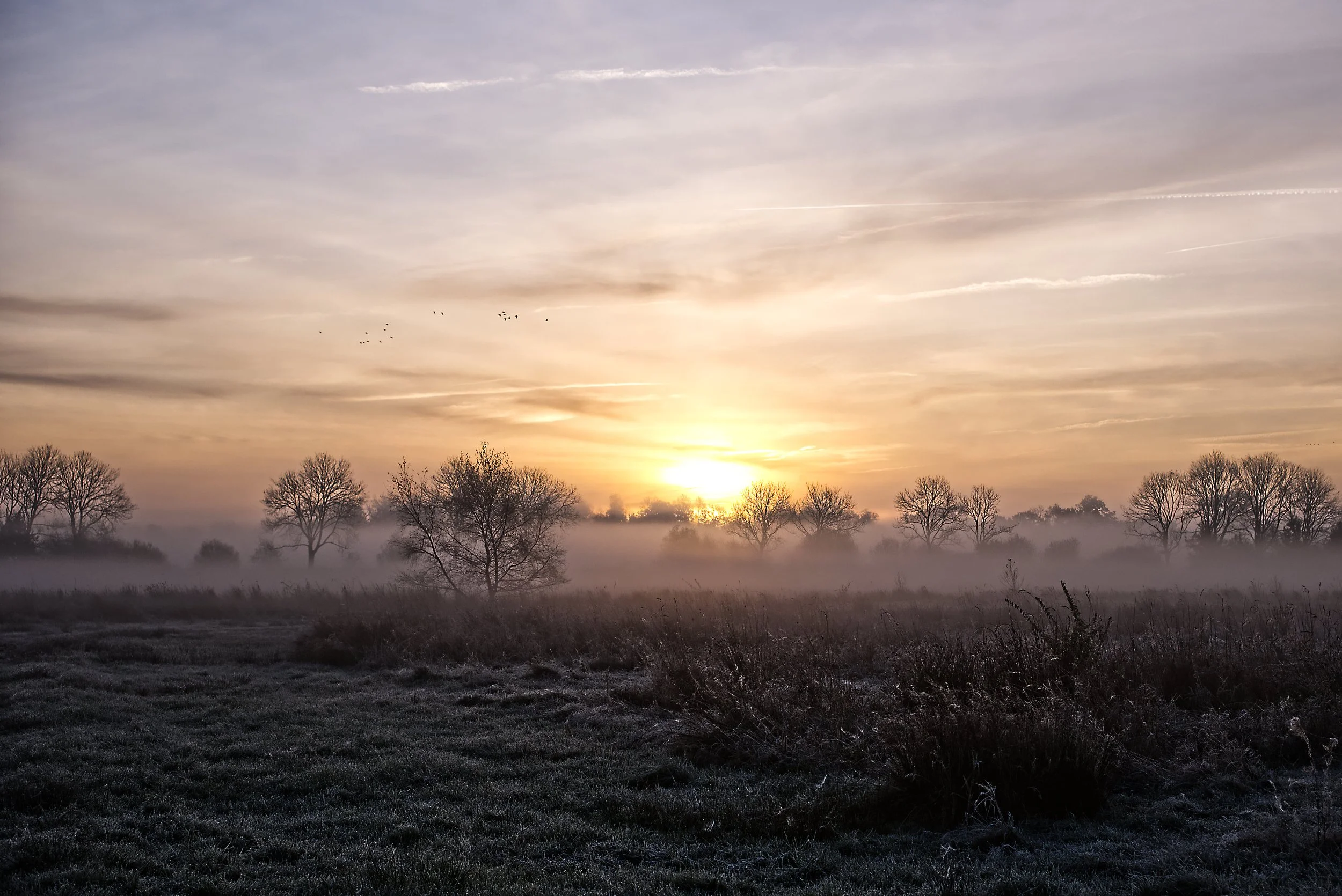 Leekstermeergebied in de herfstochtend