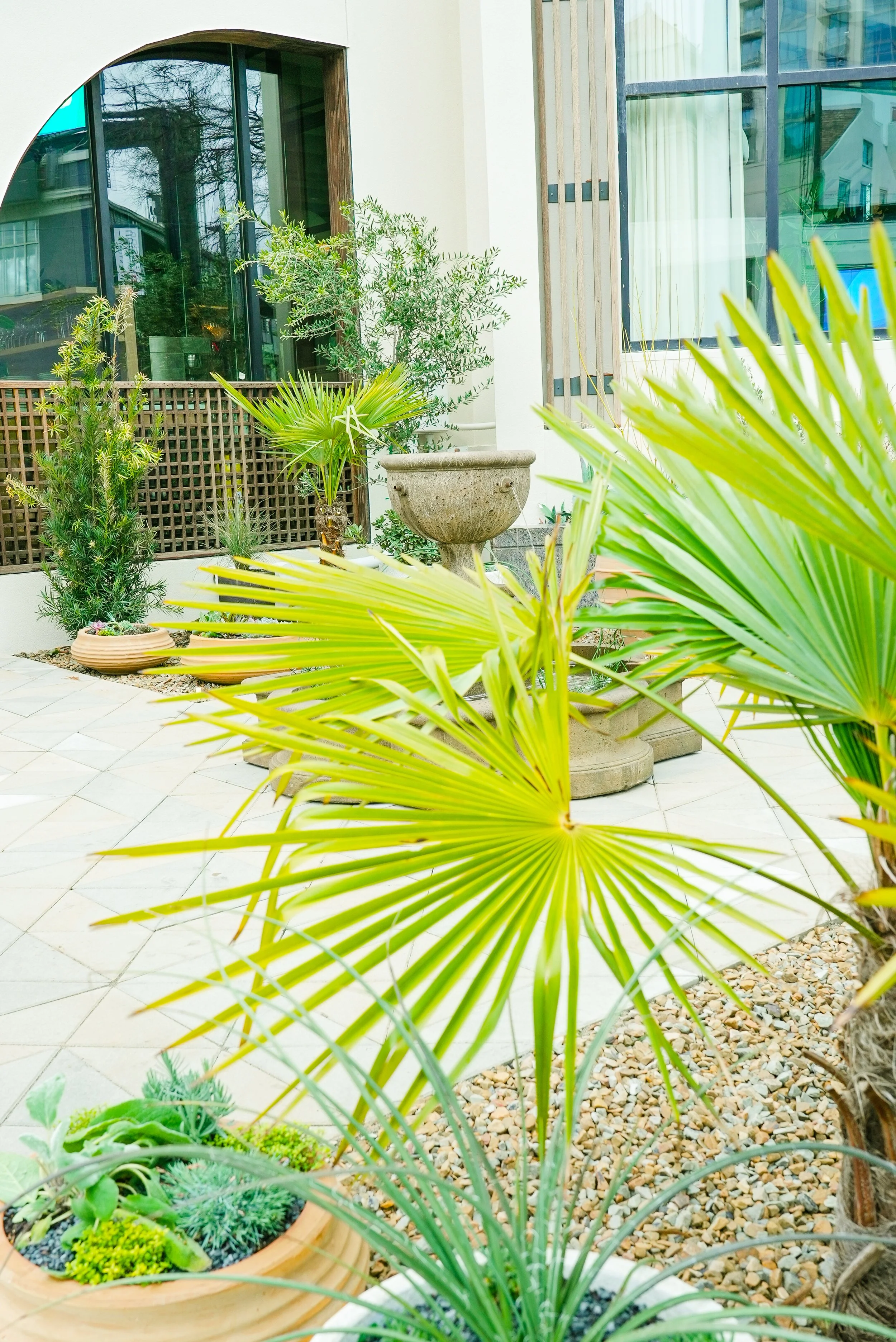 plants outside Delbar restaurant in Atlanta