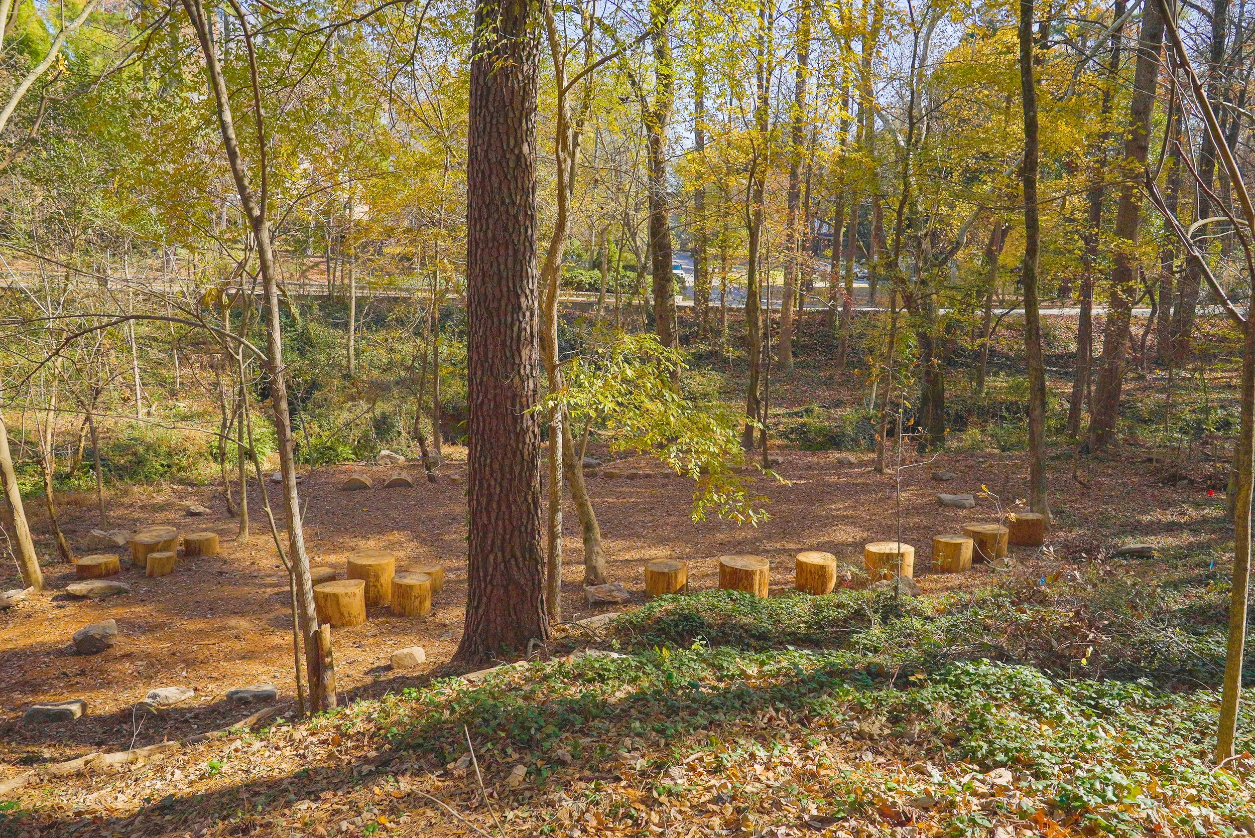 outdoor classroom full area.jpeg