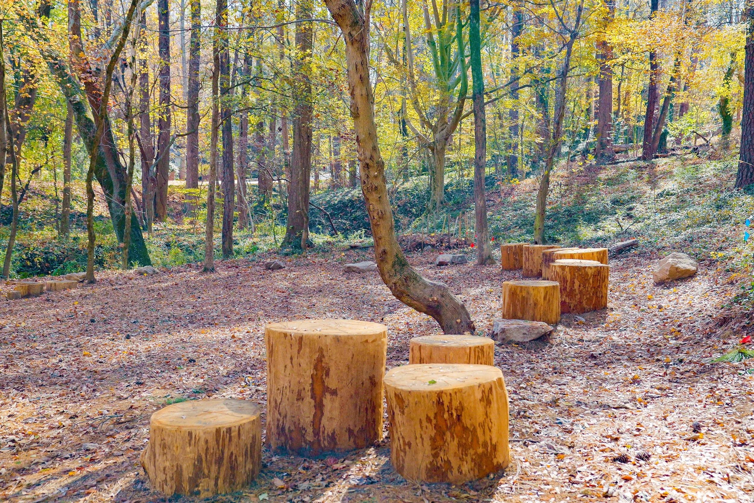 outdoor classroom clearing.jpeg