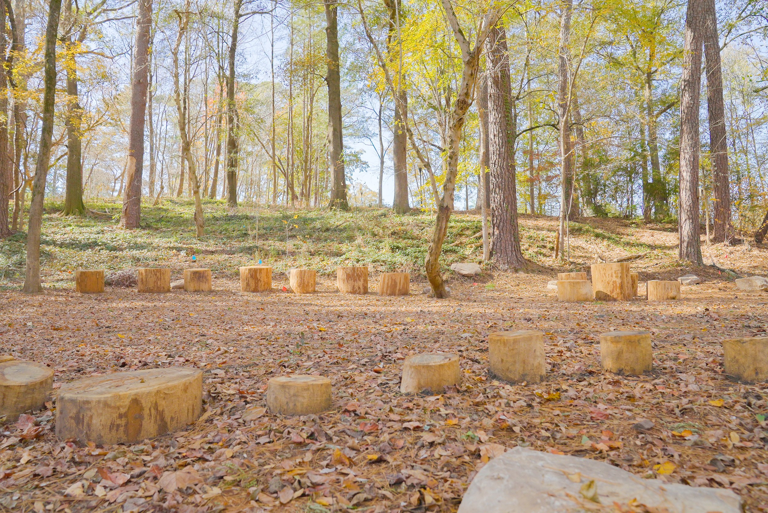 Creating a Lasting Outdoor Learning Space at Chastain Park Conservancy