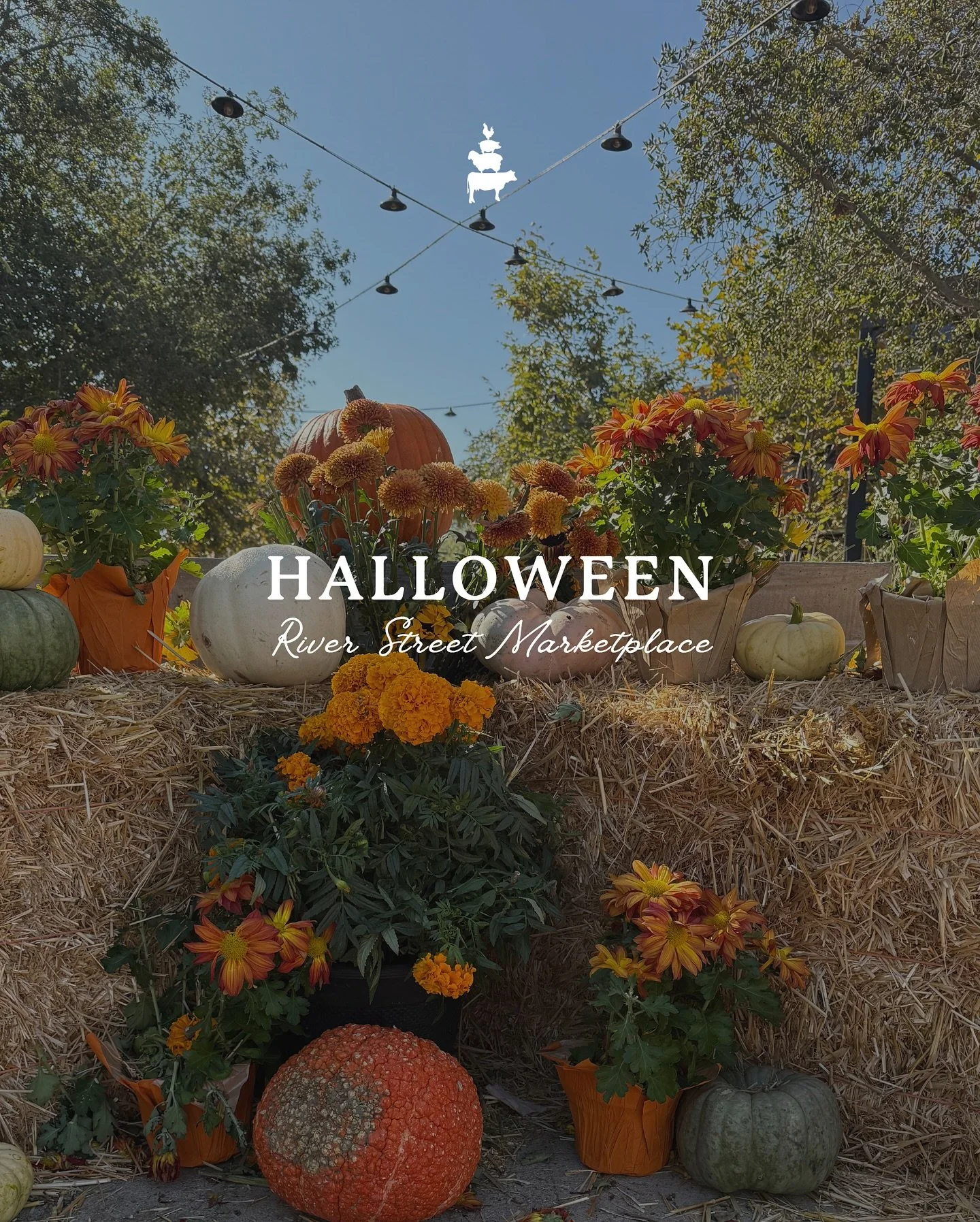 Join us this Halloween at River Street Marketplace for some sweet fun! Tag a friend who you want to join you 🎃
DJ + shake samples from @wittleskids 
Fall-themed crafts with @_sunshine_montessori_ 
Passport scavenger hunt with candy + prizes
River S