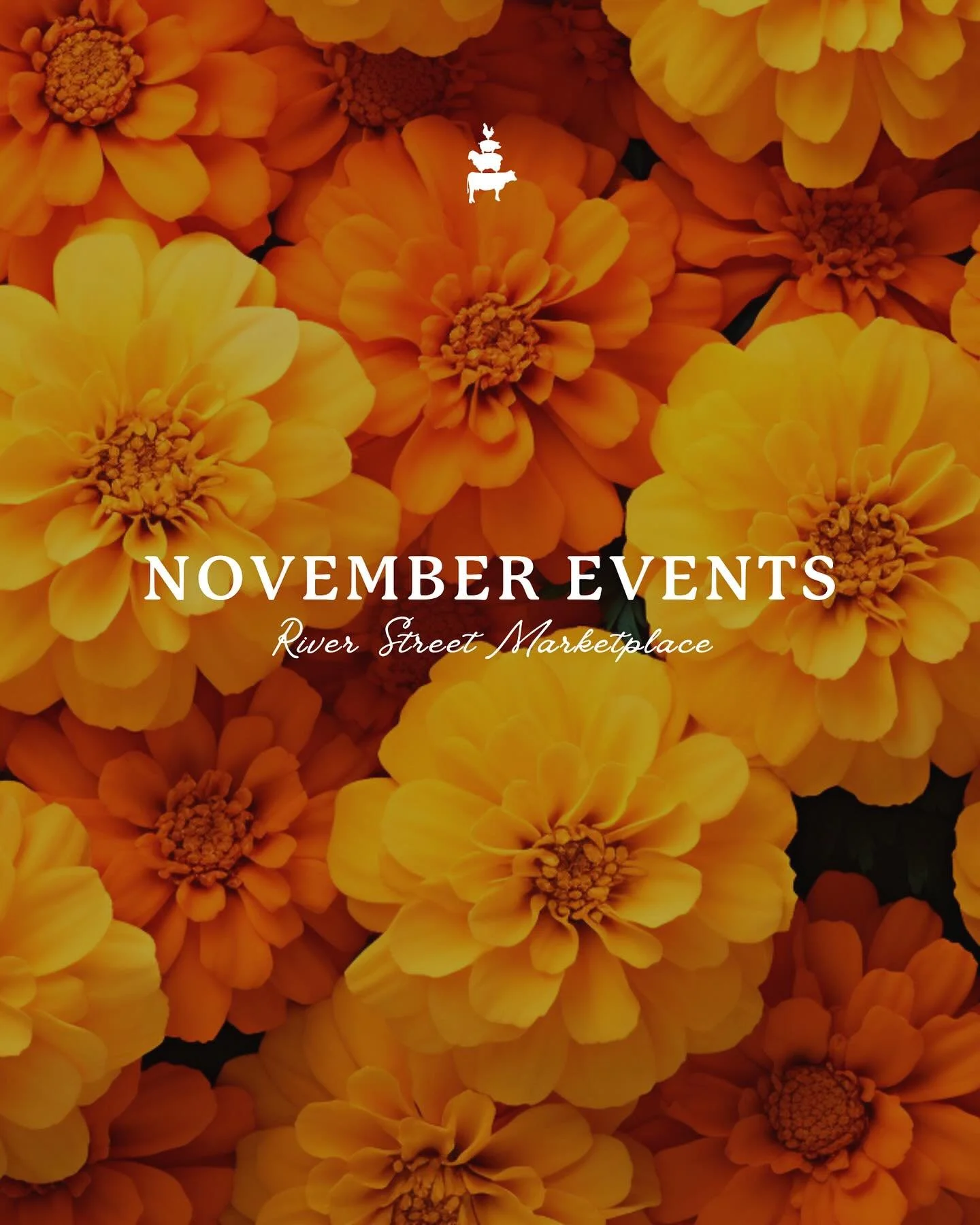 Your November lineup is here:
Live music, Mermade Market, Run Club, 1-year anniversaries, Kid activities, Thanksgiving meal specials, and Shop Small weekend deals. We&rsquo;re grateful for our amazing businesses and the community that makes River Str