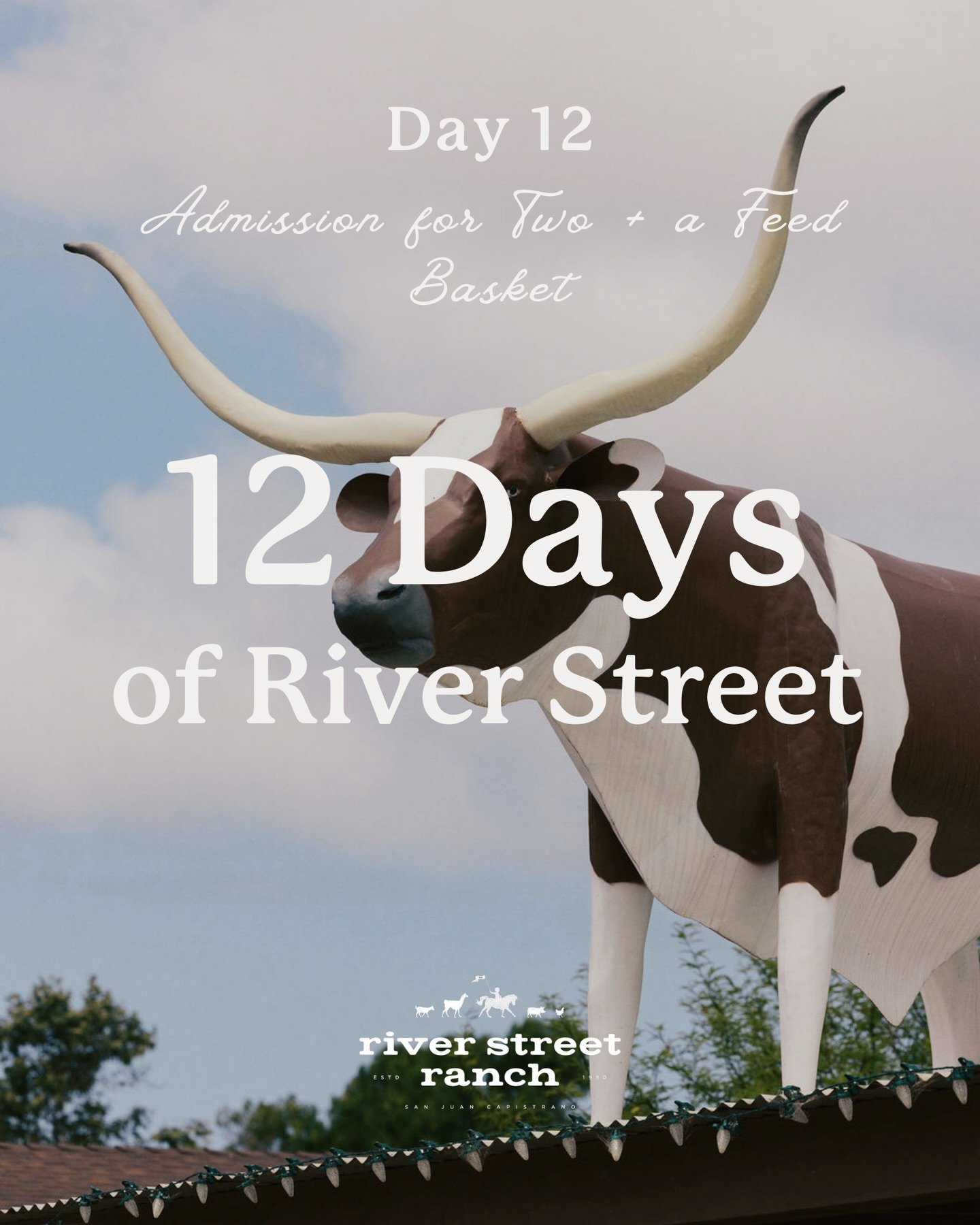 It&rsquo;s the final day of 12 Days of River Street!&nbsp;

To wrap up the celebration, @riverstreetranch_&nbsp;is giving away admission for two + a feed basket&nbsp;&mdash; a wonderful chance to explore the ranch and visit the animals.

How to enter