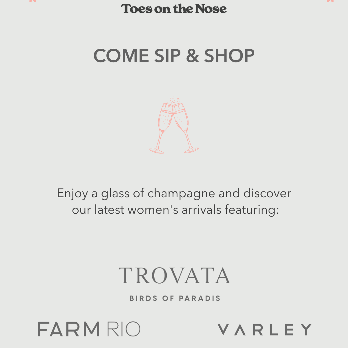 Toes On The Nose Sip + Shop