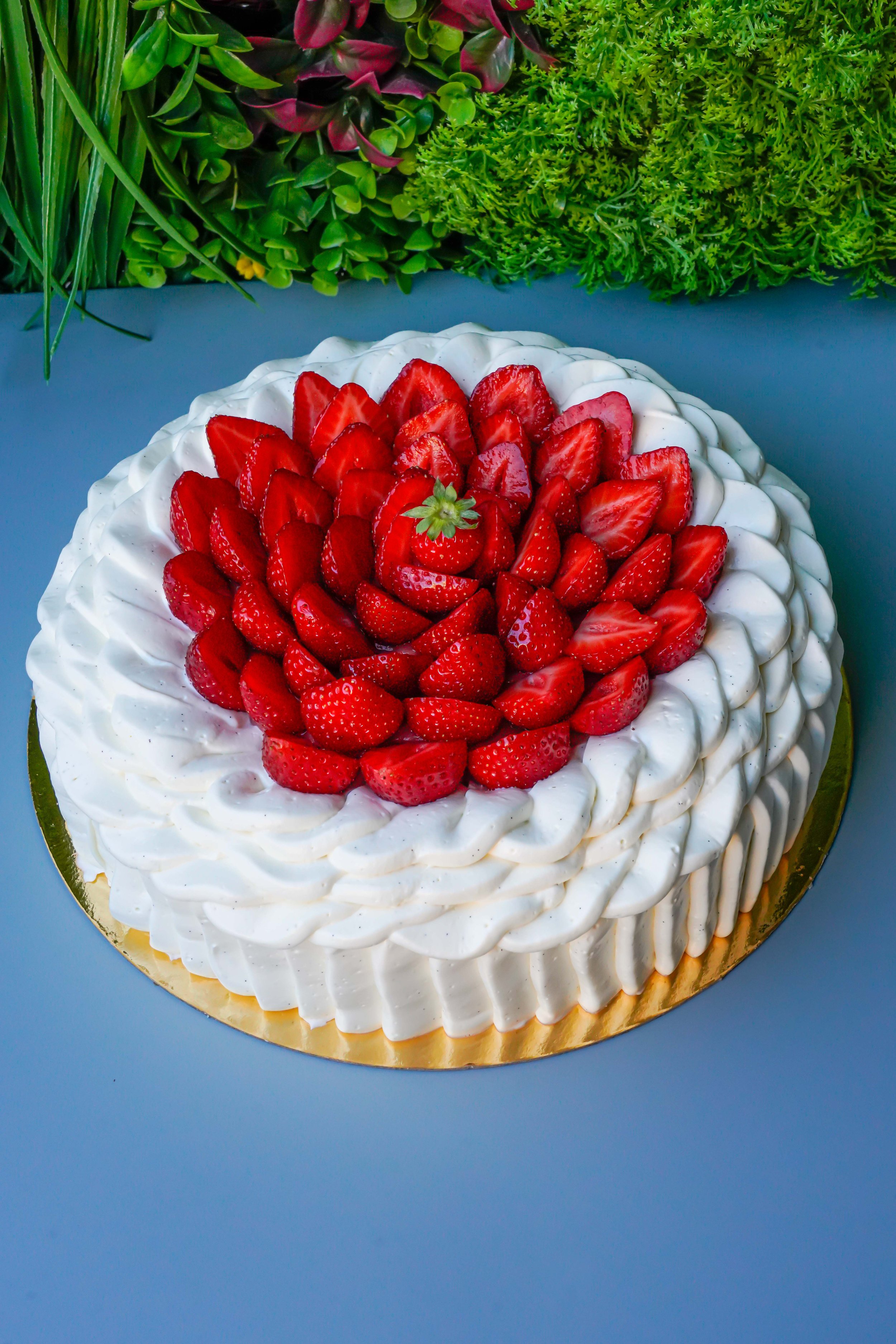 Entremet - Nicolas Dolbeau (1).jpg