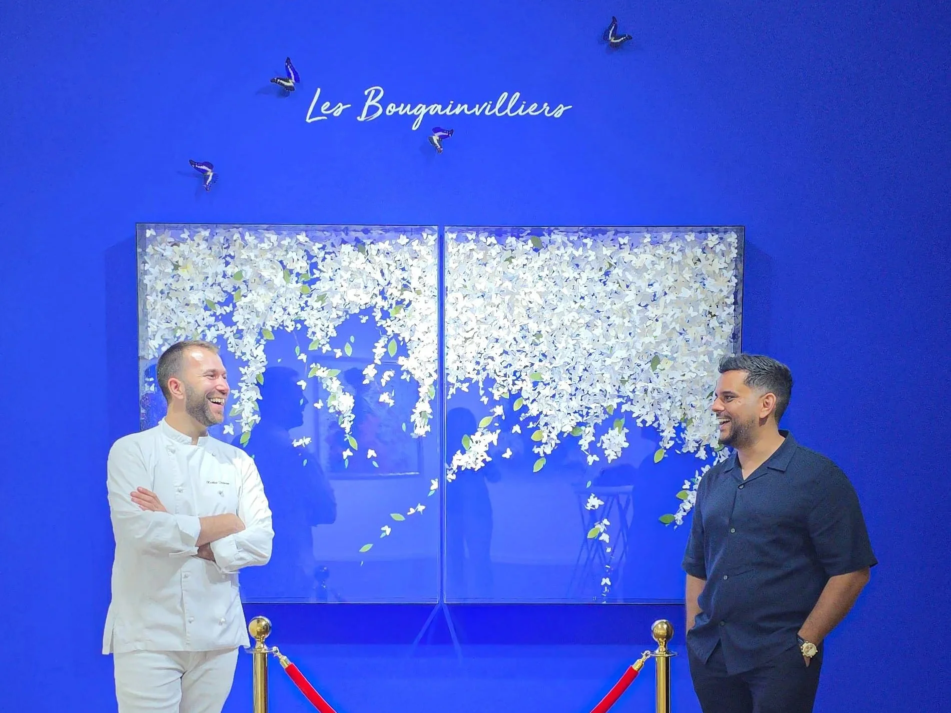 UN PAPILLON MAJORELLE A SAVOURER AVEC L'ARTISTE CONTEMPORAIN LIS SAM