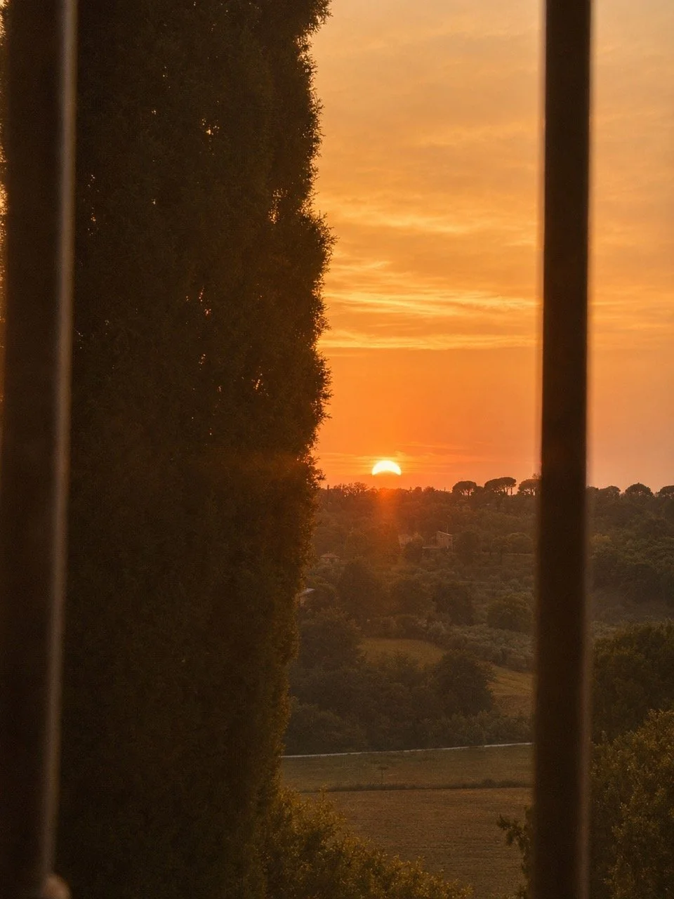 mood_foto_panorama.jpeg