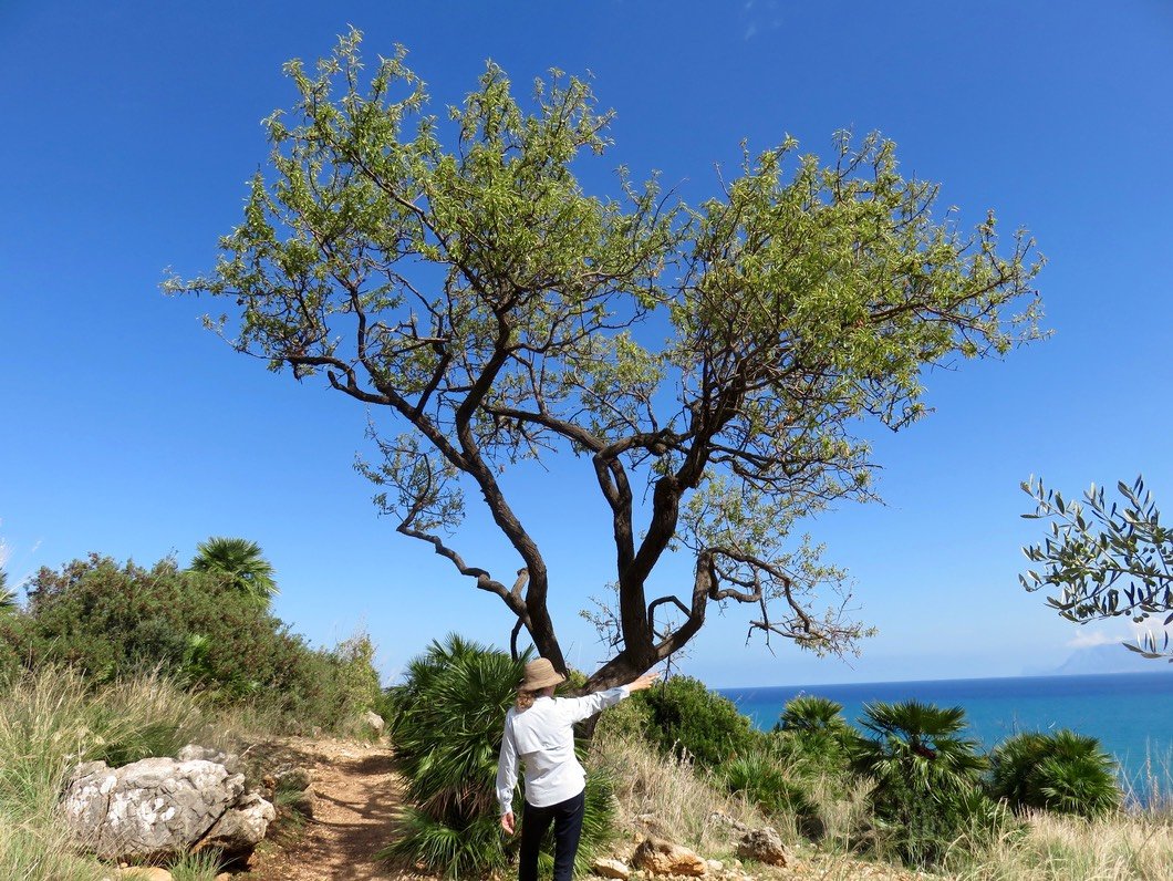 There is No Better Place: Three Keys to Creating Freedom From Judgments