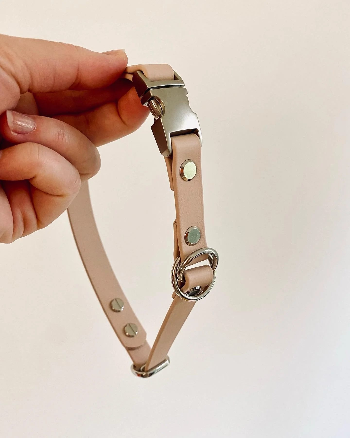 Zugstopphalsband mit & ohne Steckschnalle & verstellbare Halsbänder