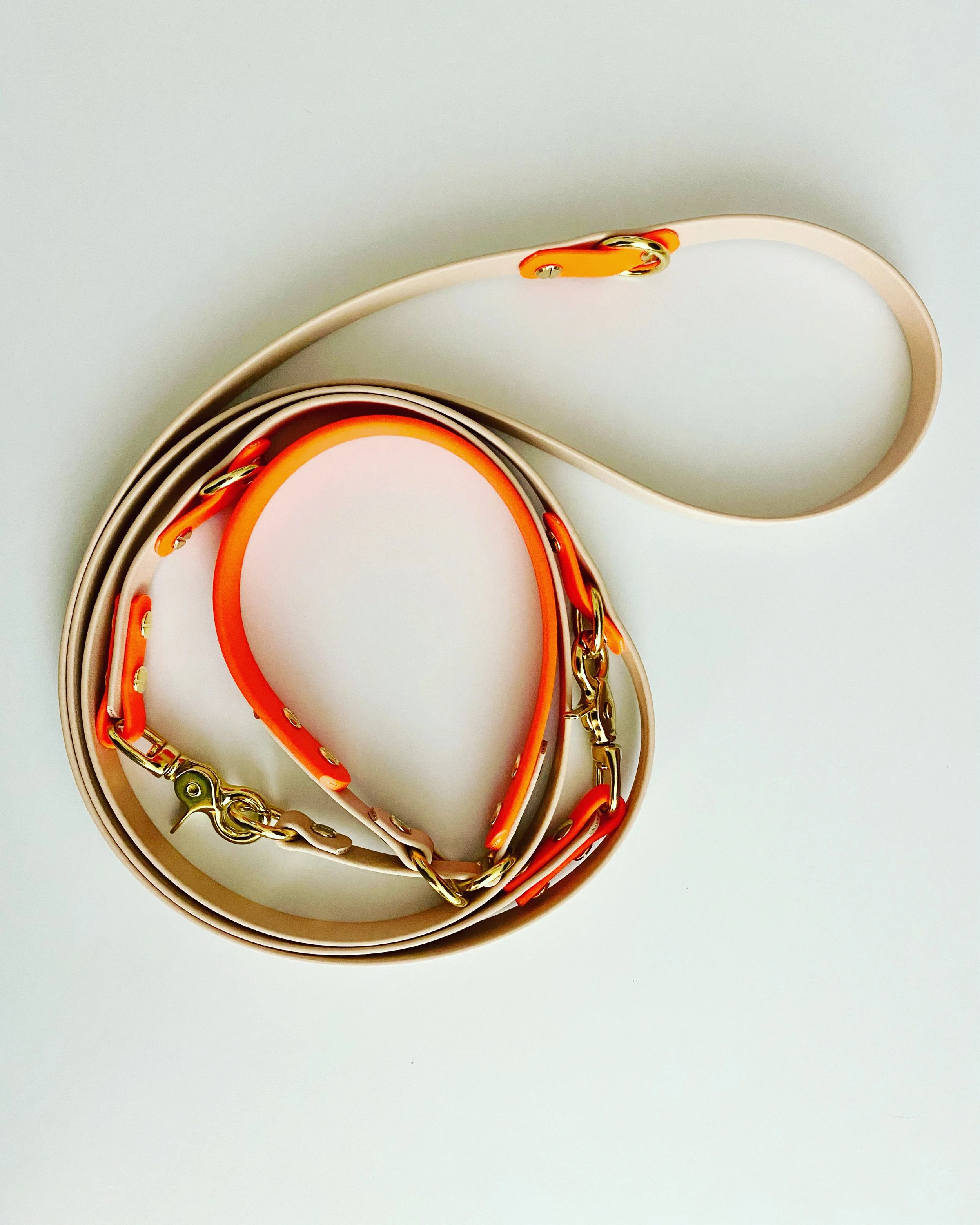 Leinen aus BioThane® & Fettleder