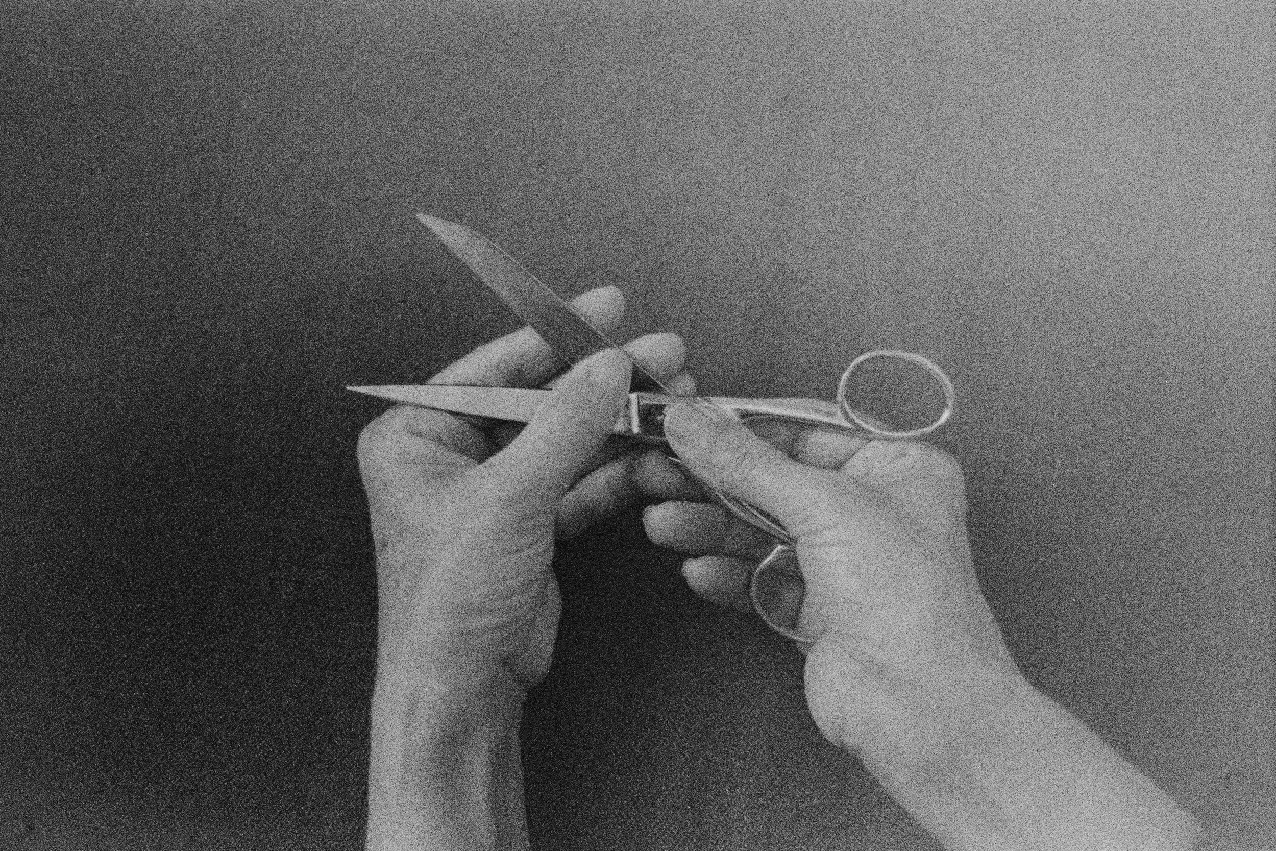 Sara Kontar_Therefore I Cut-2.jpg