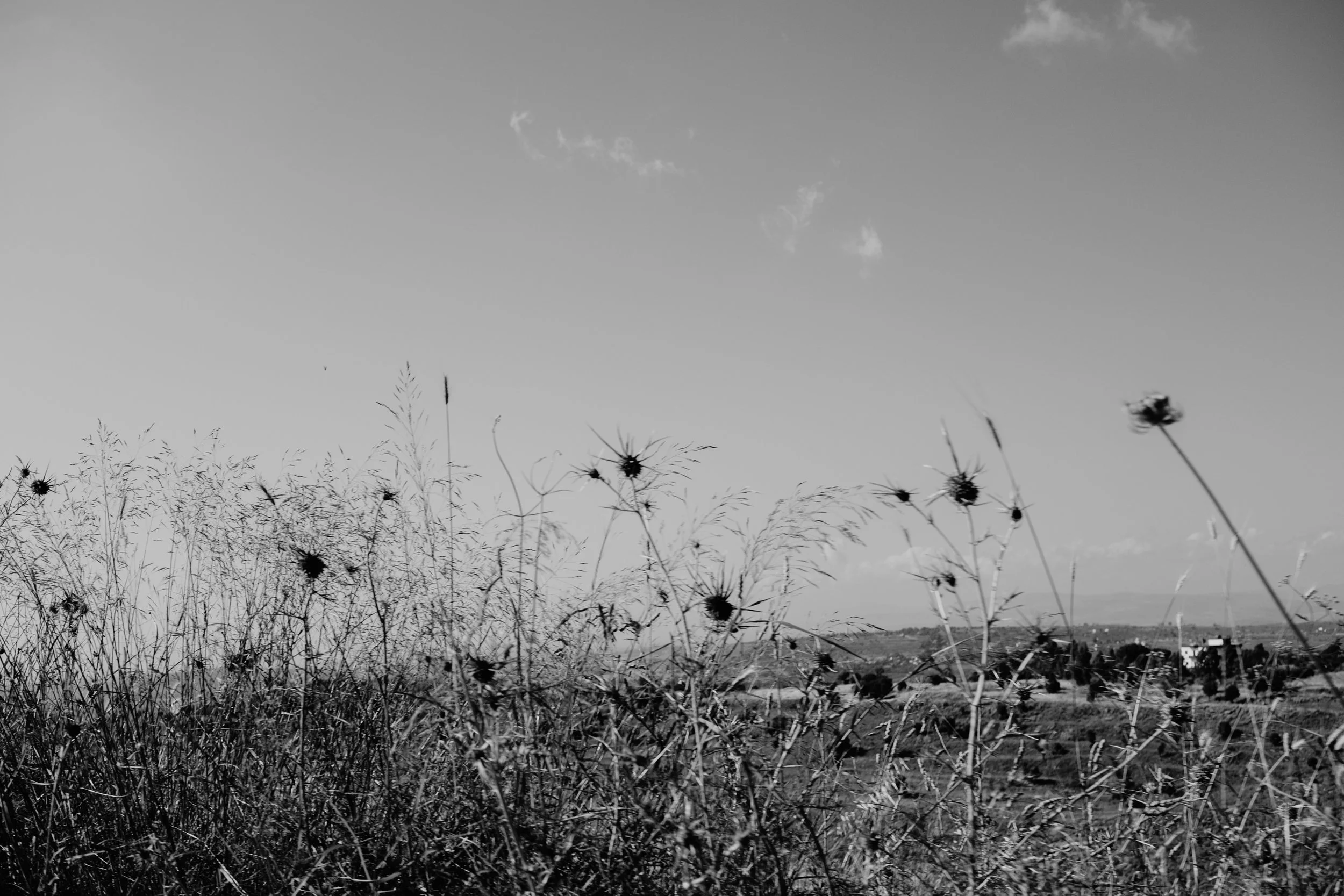 Sara - final photos edited-17.jpg