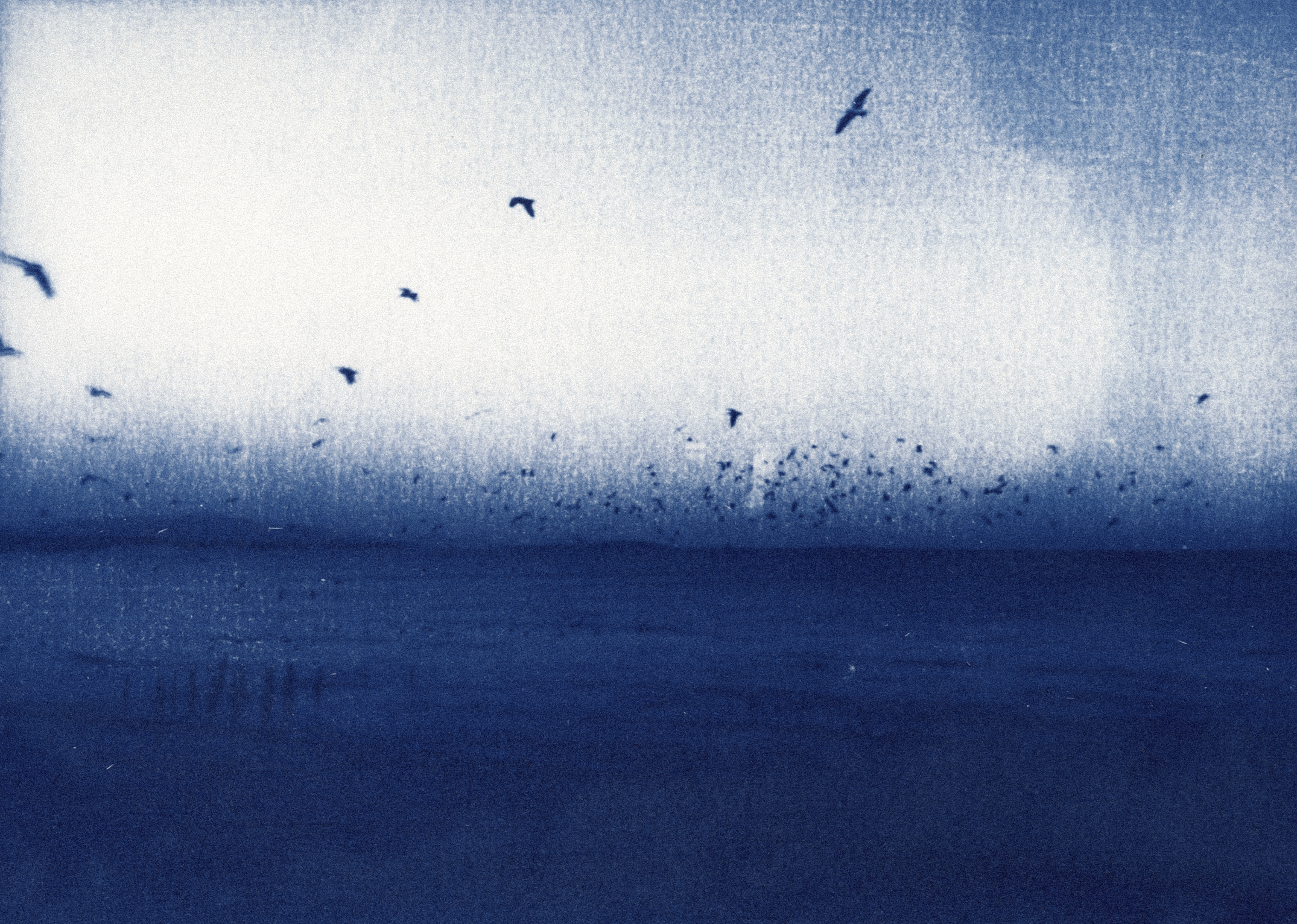 Towards A Light_Sara Kontar4.png