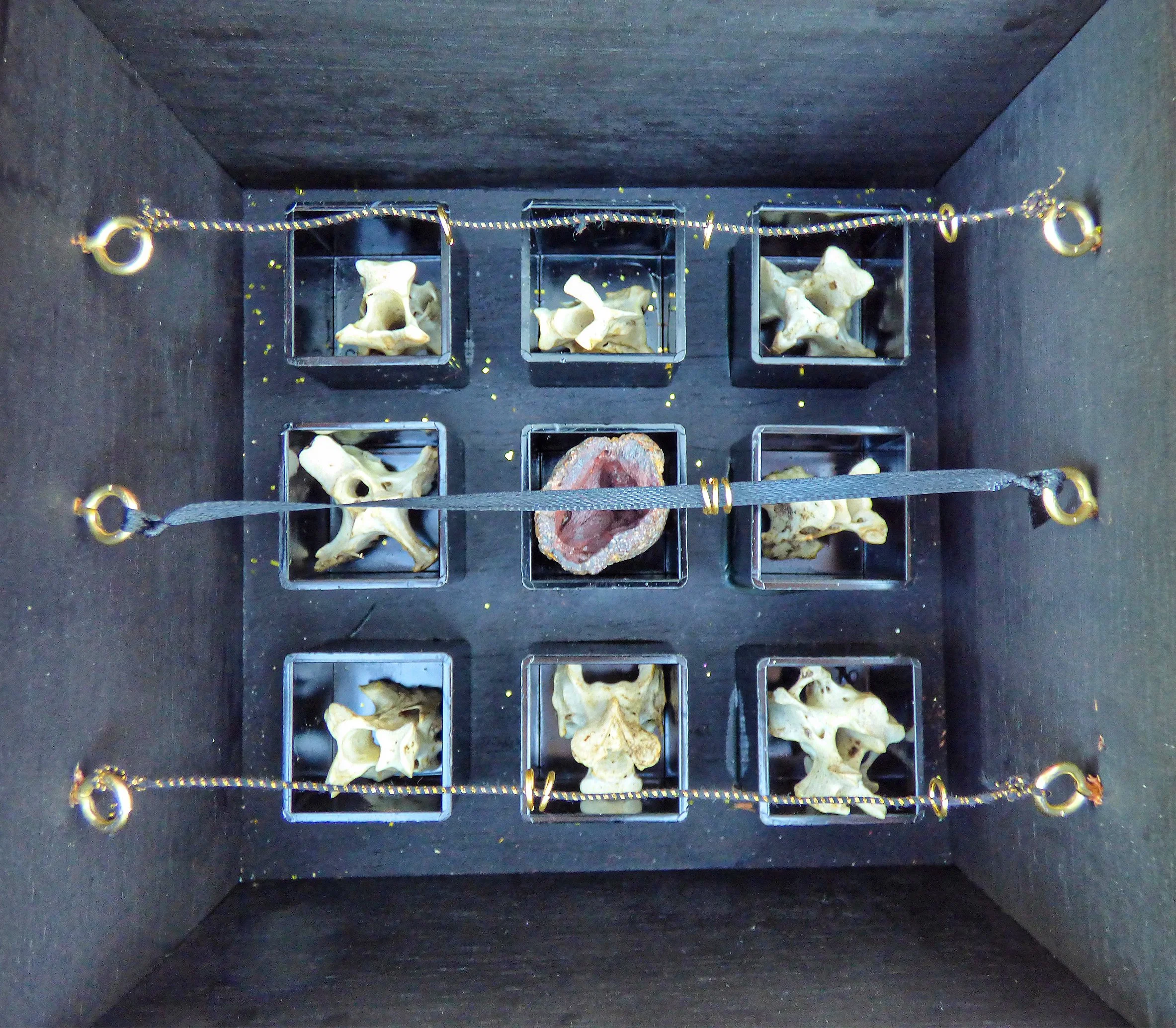 bird-bone-box-interior.jpg