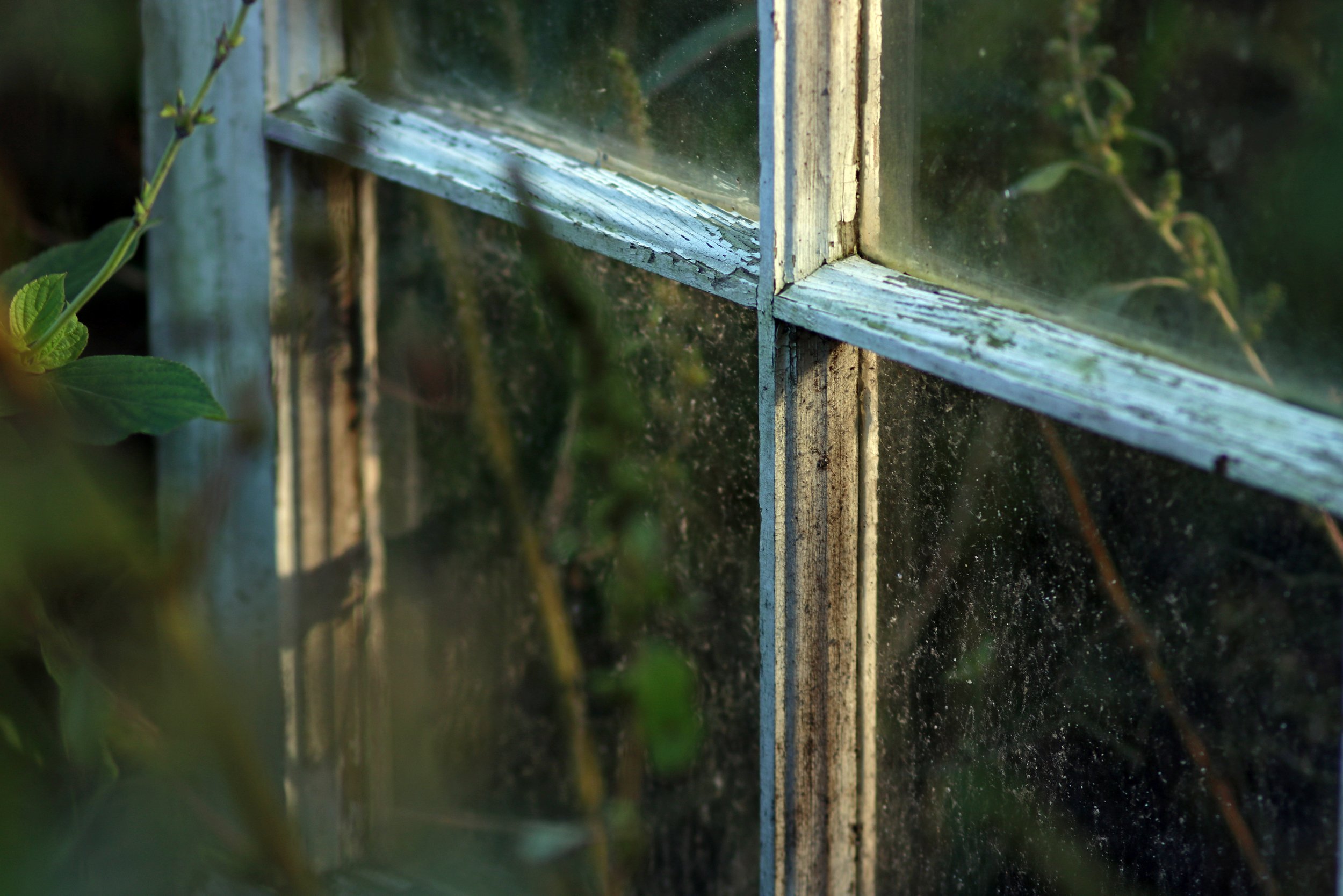 window1.jpg