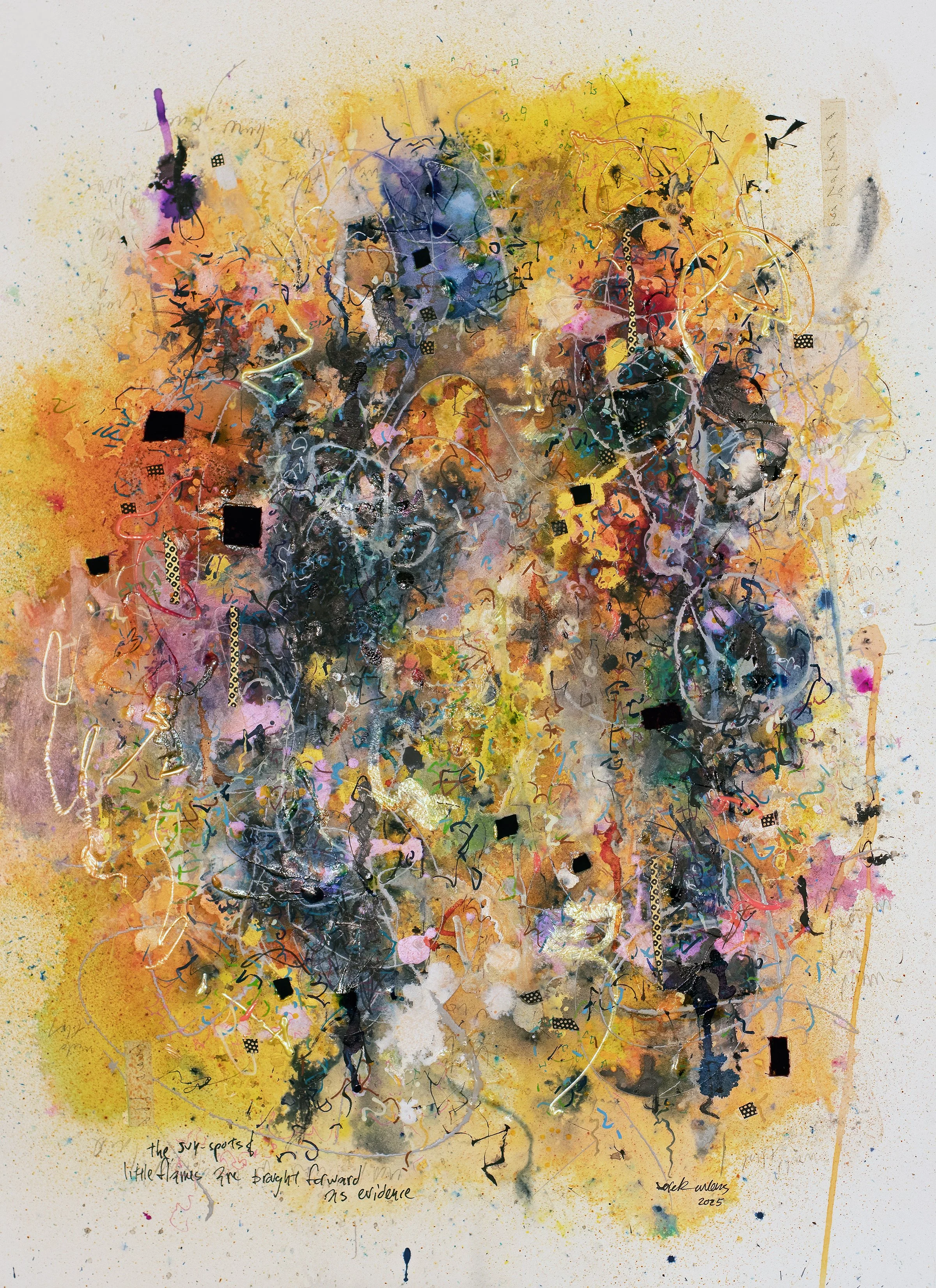 "the sun-spots and little flames are brought forward as evidence"