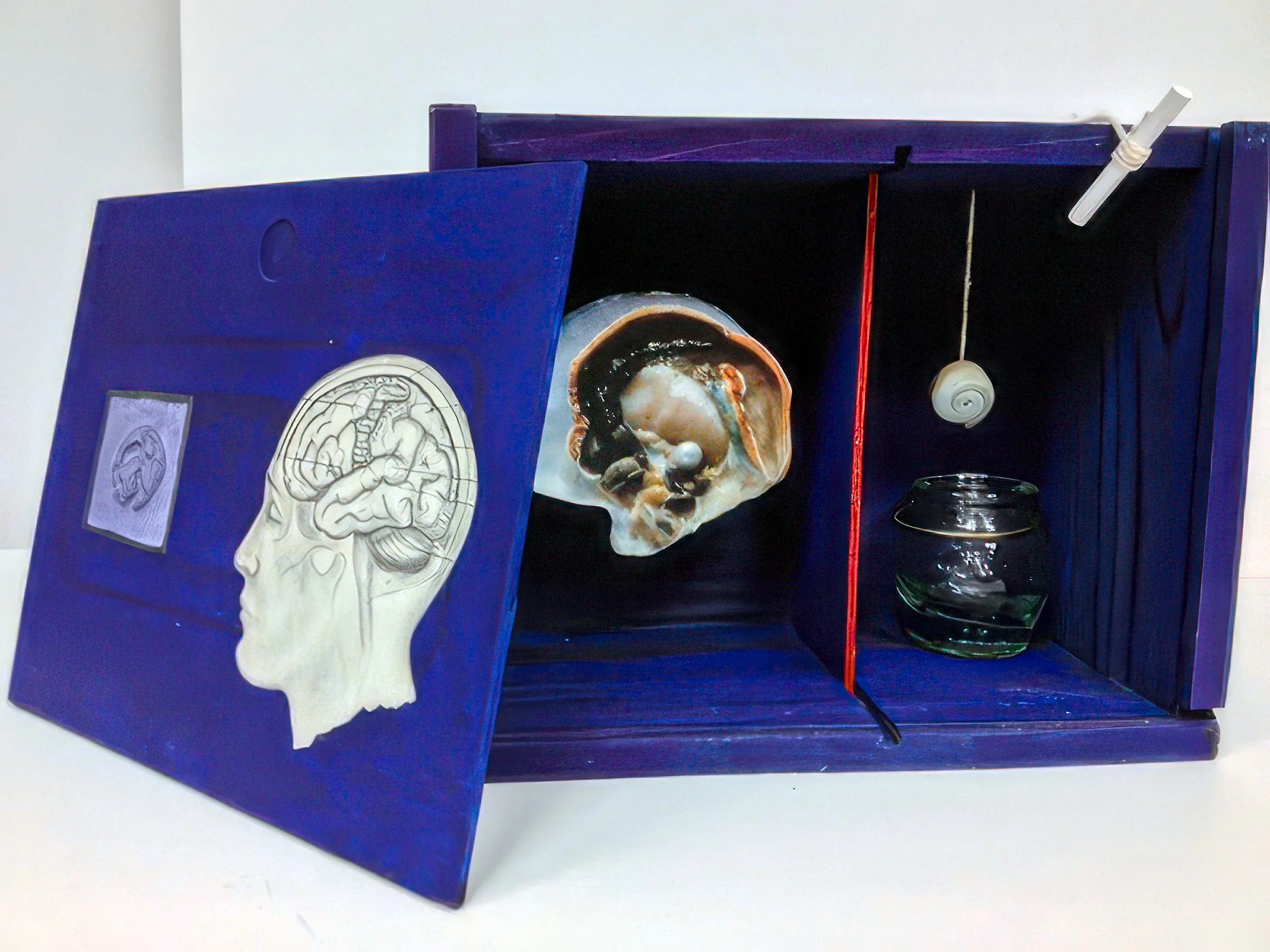 blue-brain-box.jpg