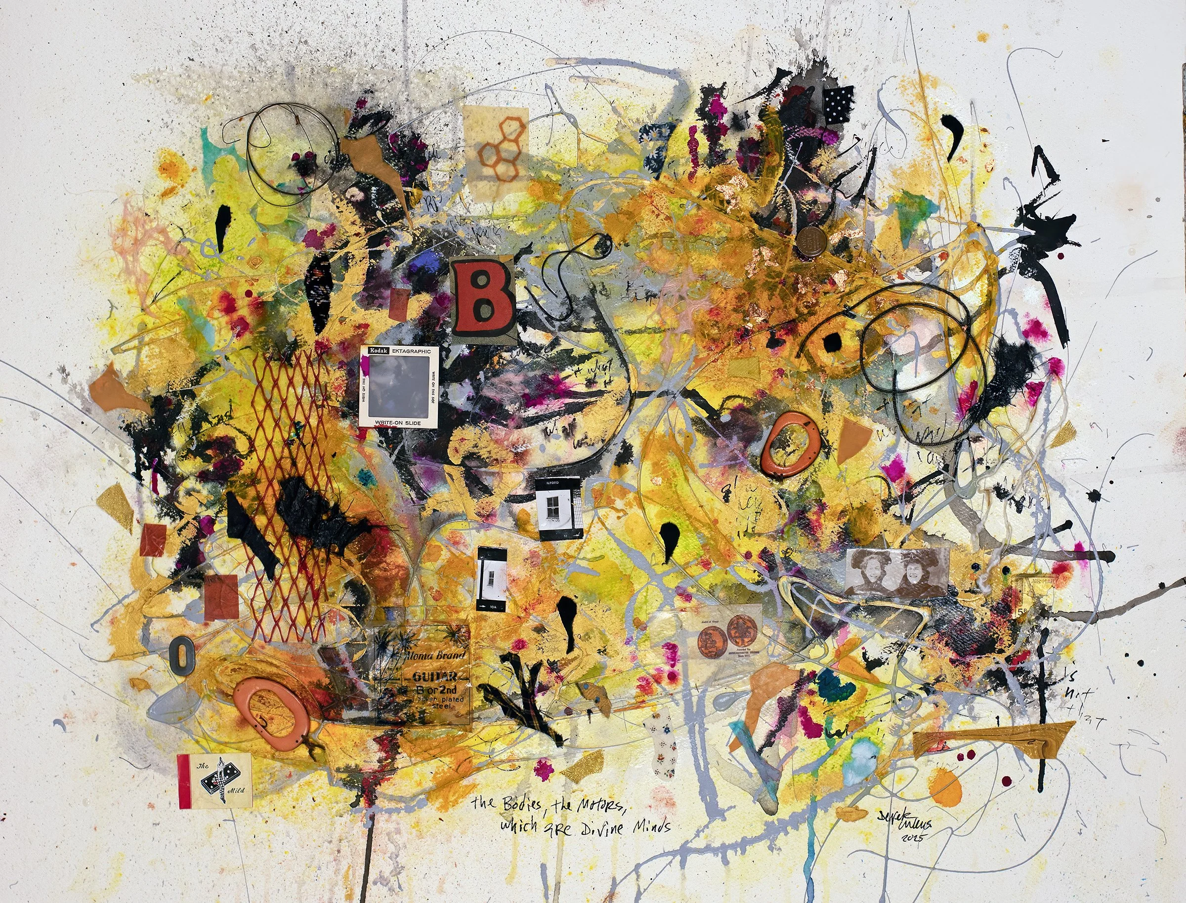 "the bodies, the motors, which are divine minds"