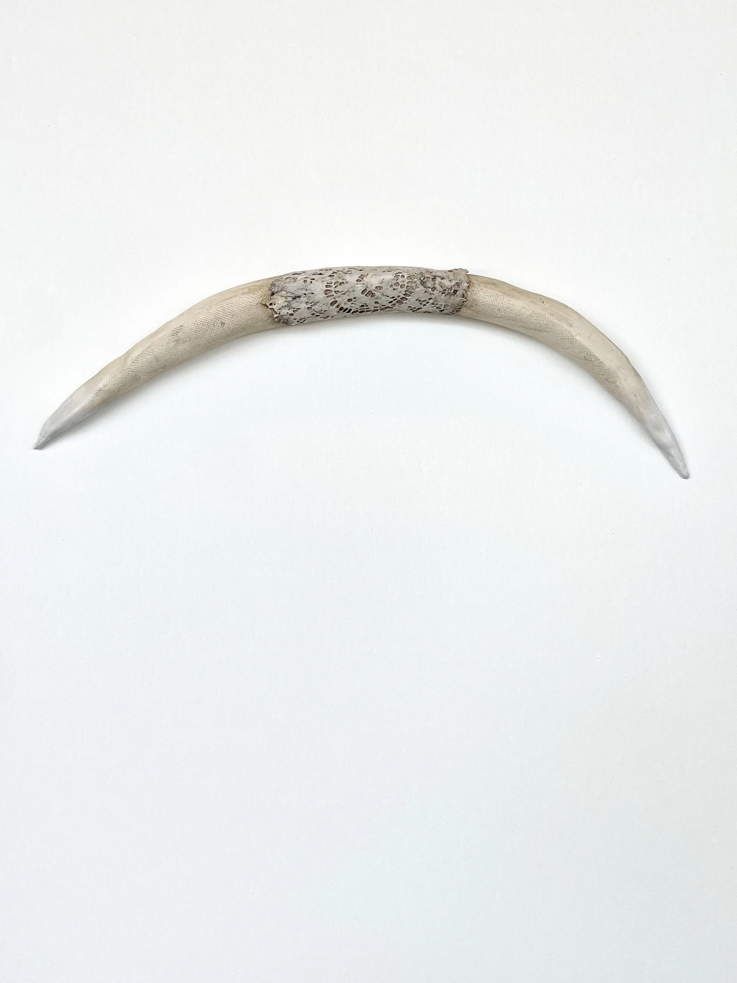 Horn1.jpeg