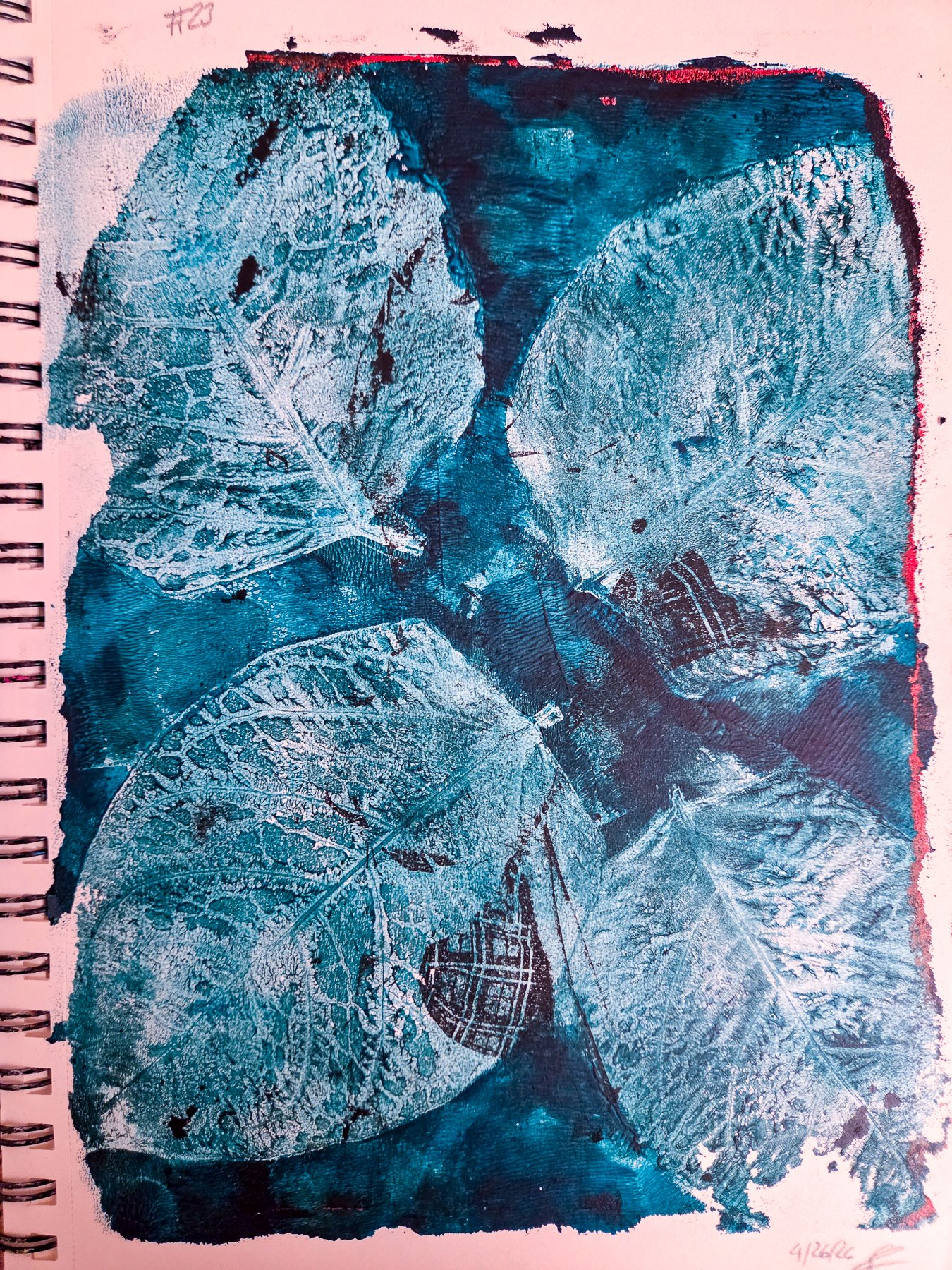#23