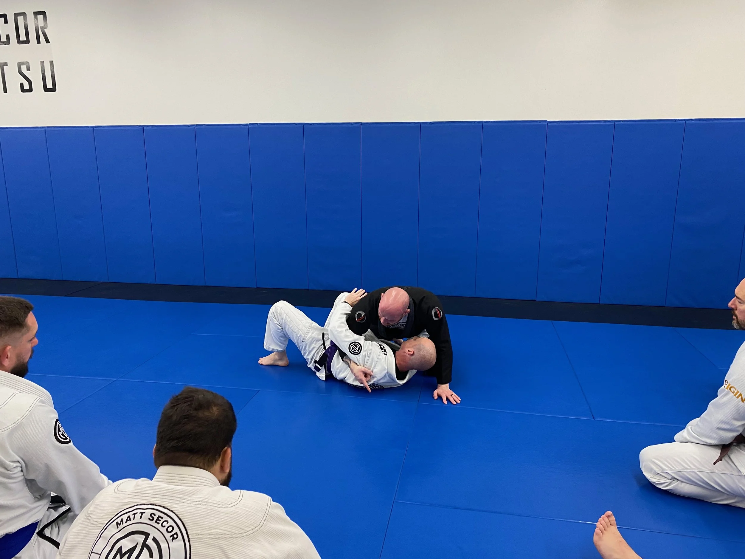 Matt Secor Brazilian Jiu Jitsu