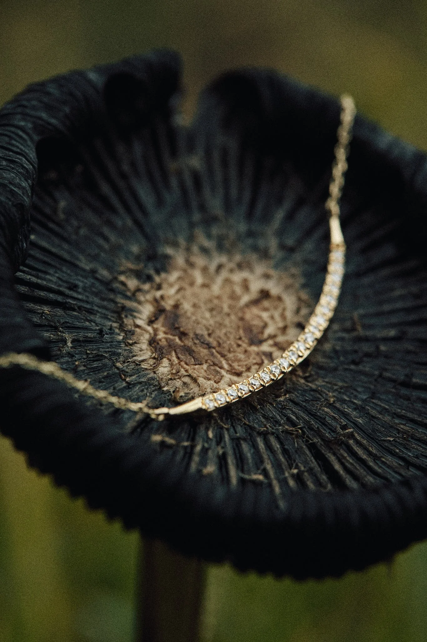 WEB_560A8346.jpg