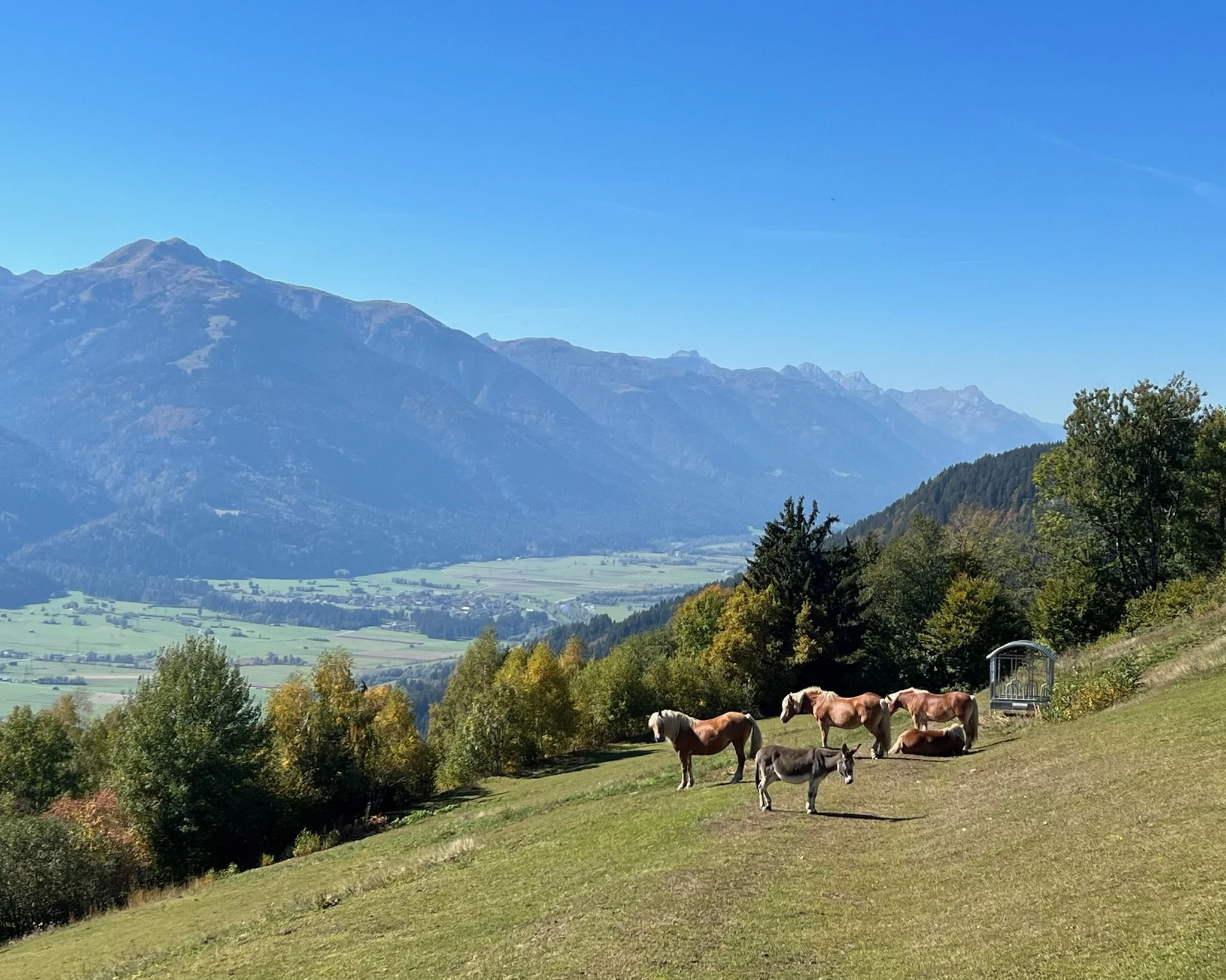 Summer hiking views.