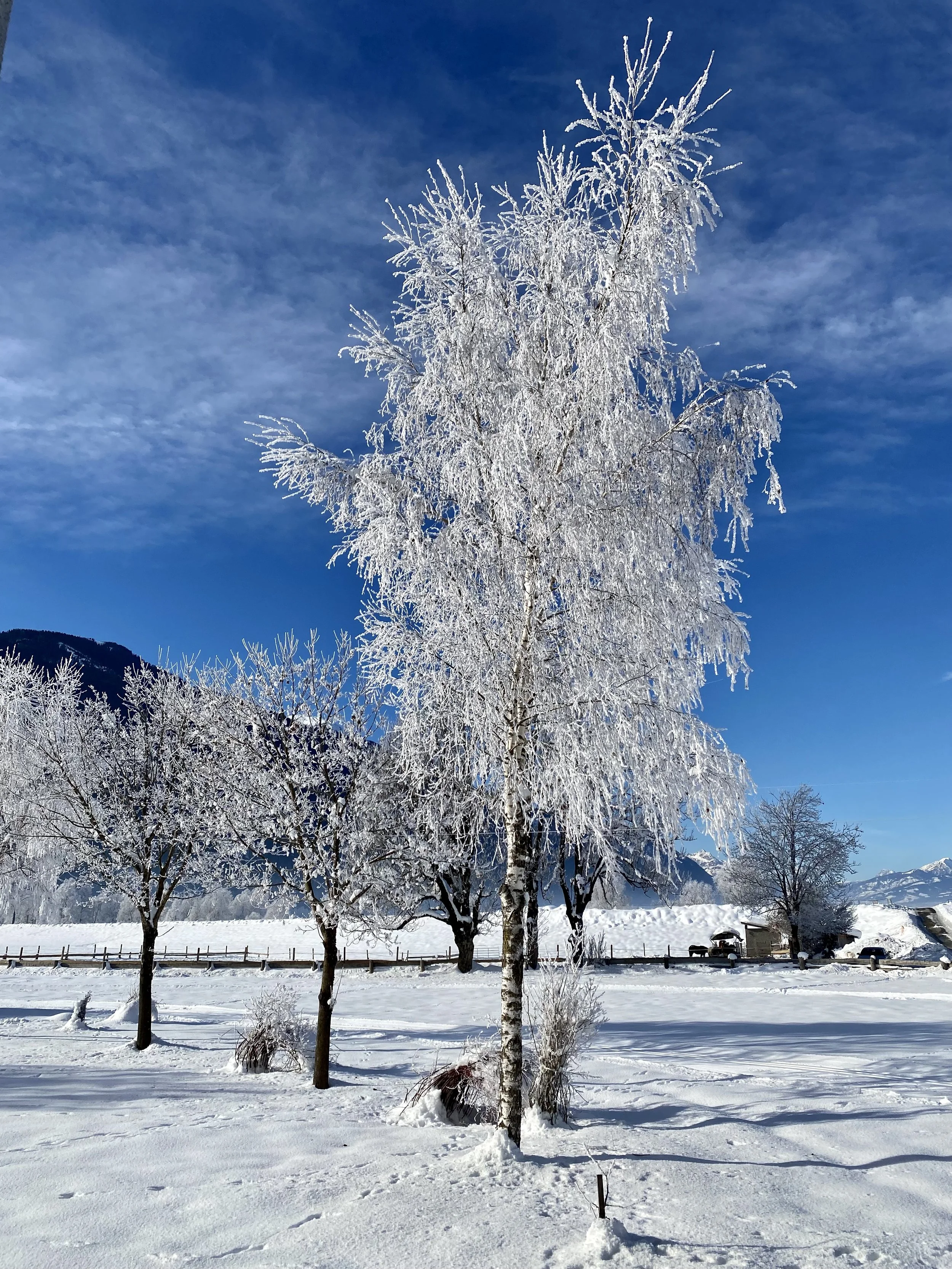 Winter morning in the Gailtal