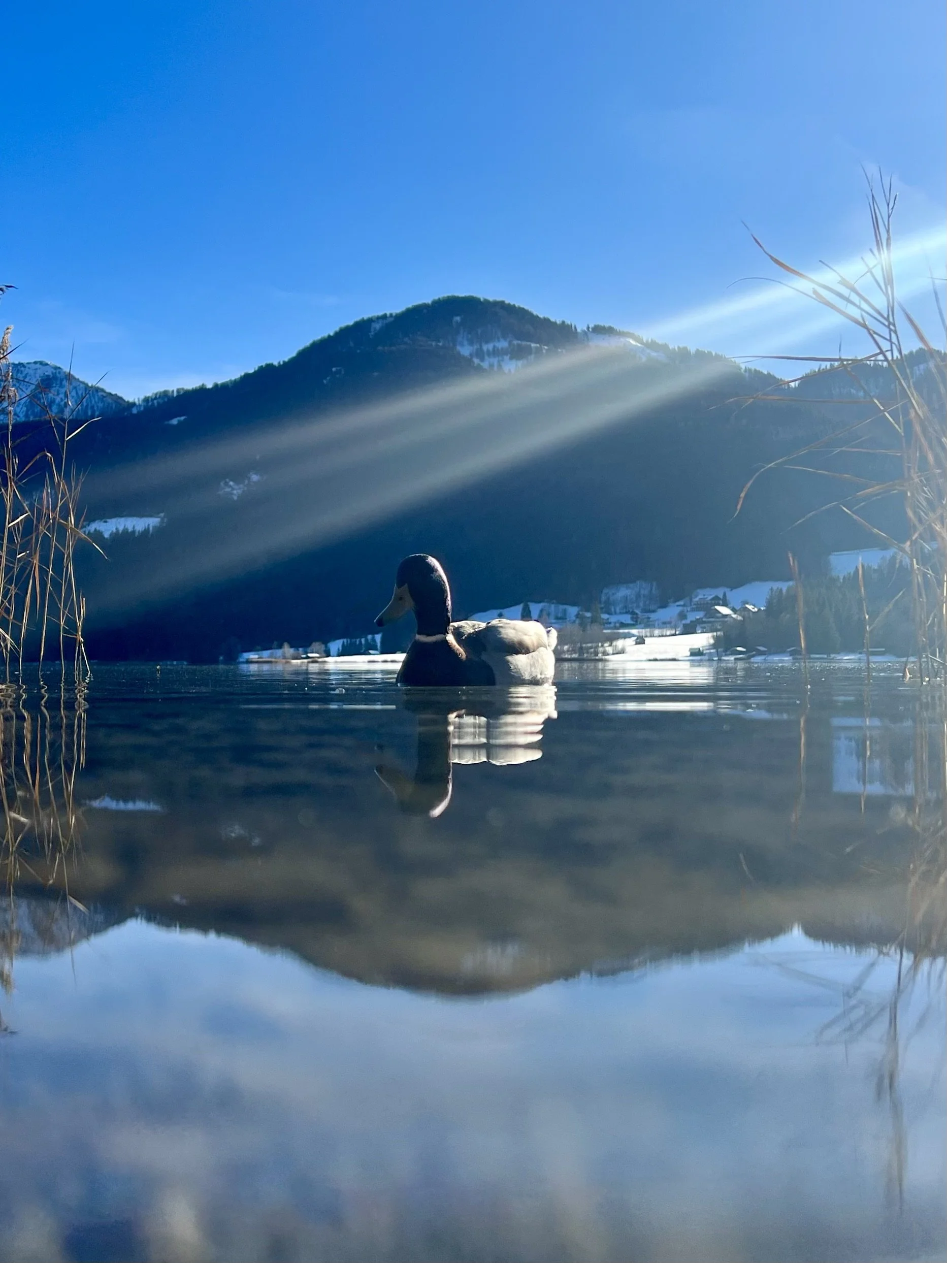Lake Weissensee