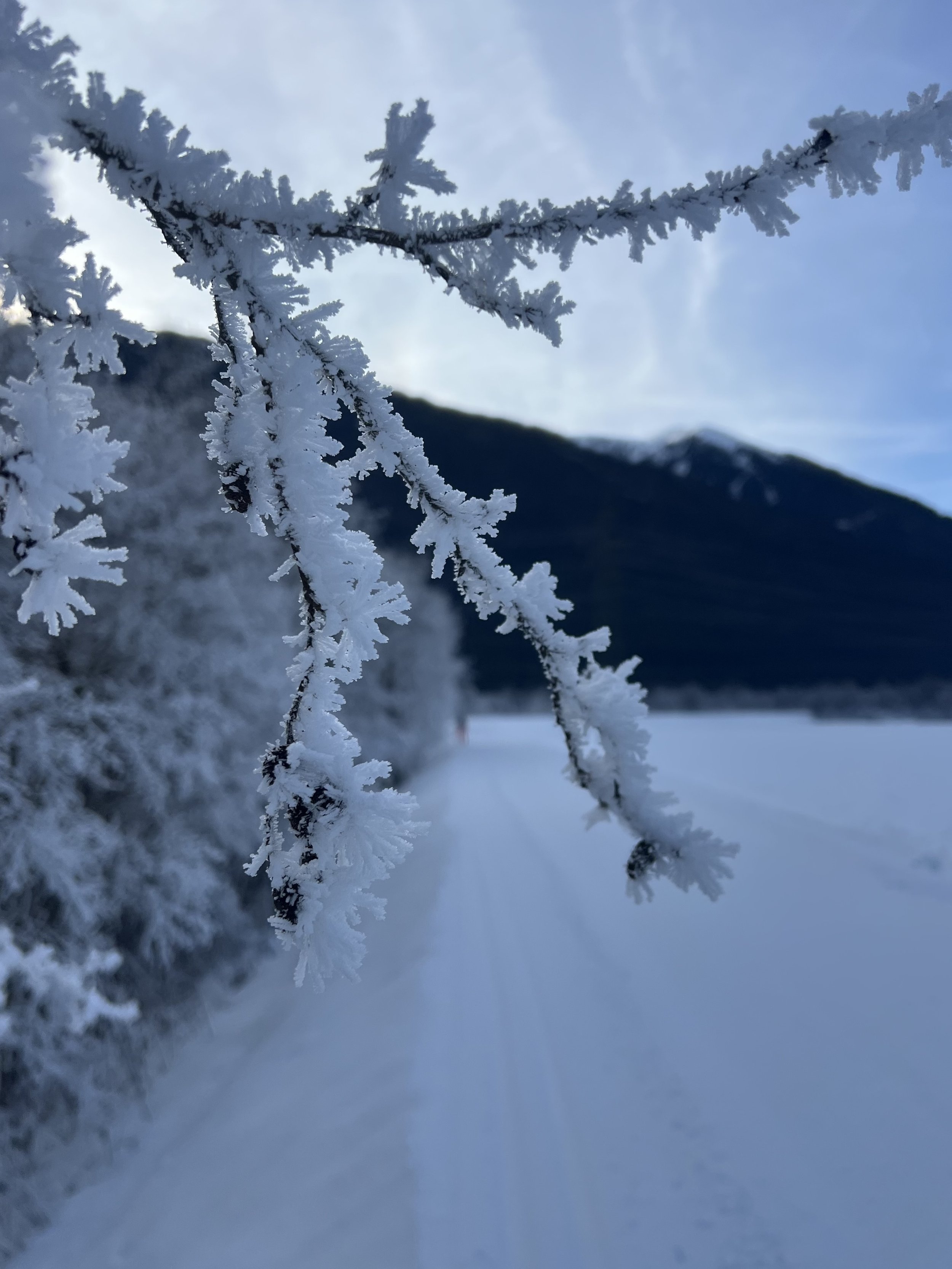 Frosty mornings in the Gailtal. 